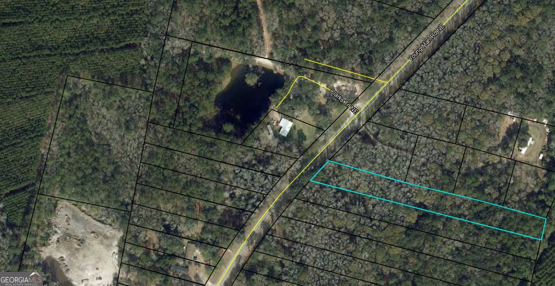 unimproved land for sale at 0 Youngman Road, Townsend, GA 31331 — photo 8