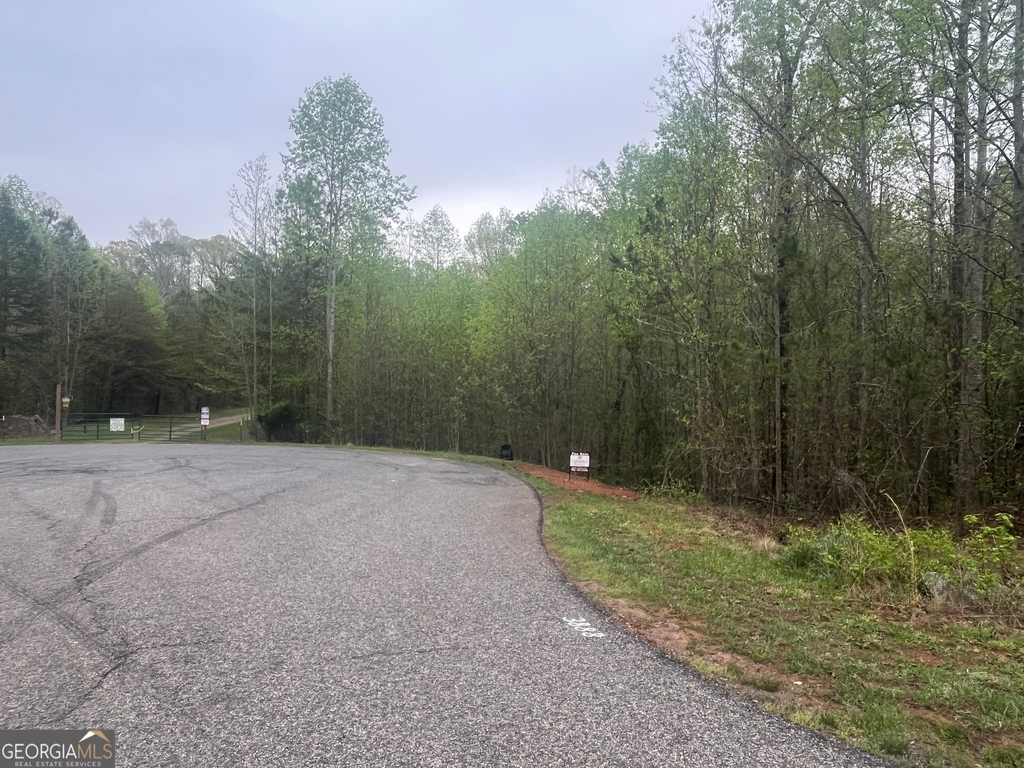 estate lot for sale at 3888 Reservoir Drive TRACT 19, Gainesville, GA 30507 — photo 3