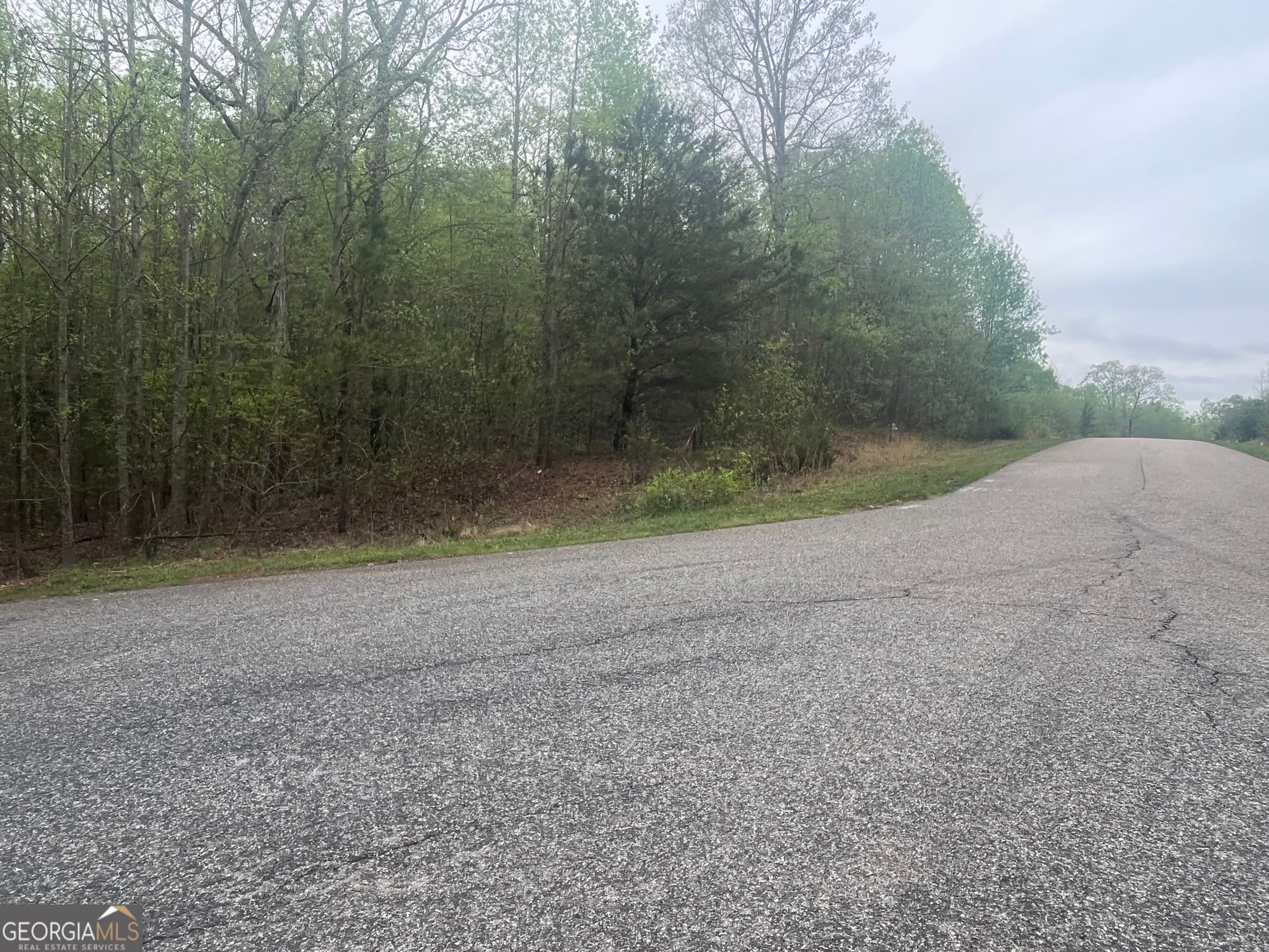 estate lot for sale at 3888 Reservoir Drive TRACT 19, Gainesville, GA 30507 — photo 4