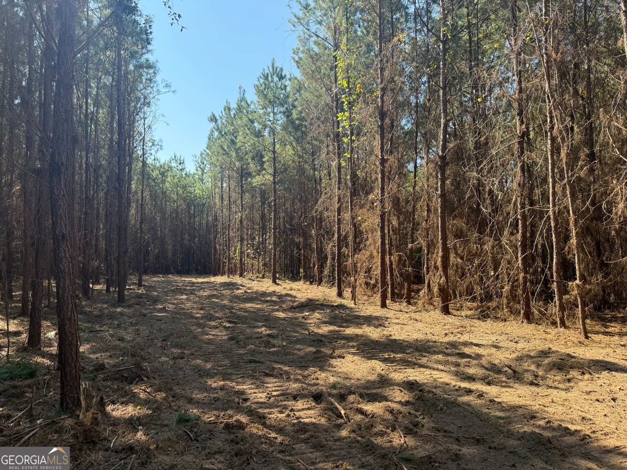 unimproved land for sale at 021 216 Highway, Arlington, GA 39813 — photo 6