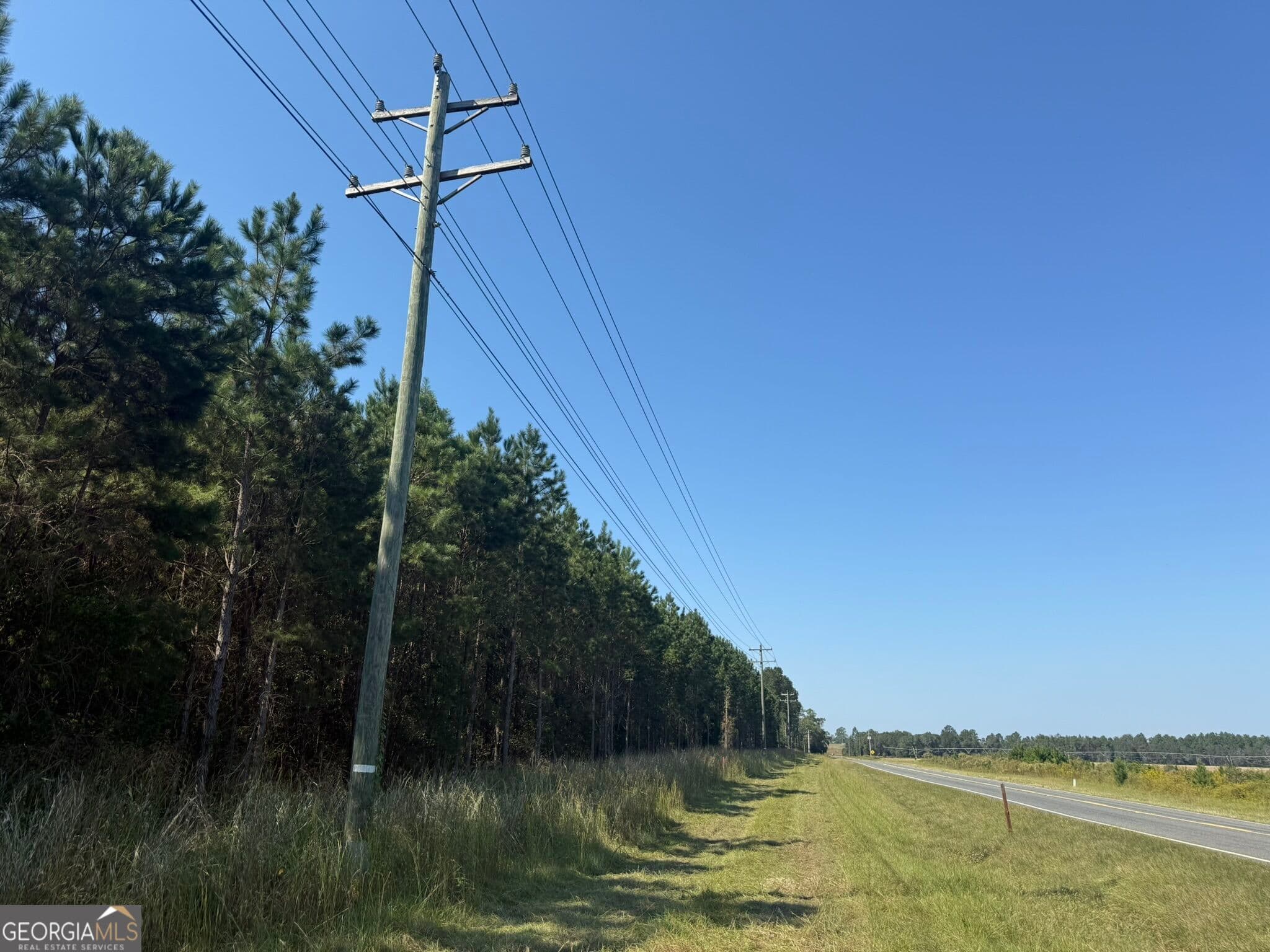 unimproved land for sale at 021 216 Highway, Arlington, GA 39813 — photo 7
