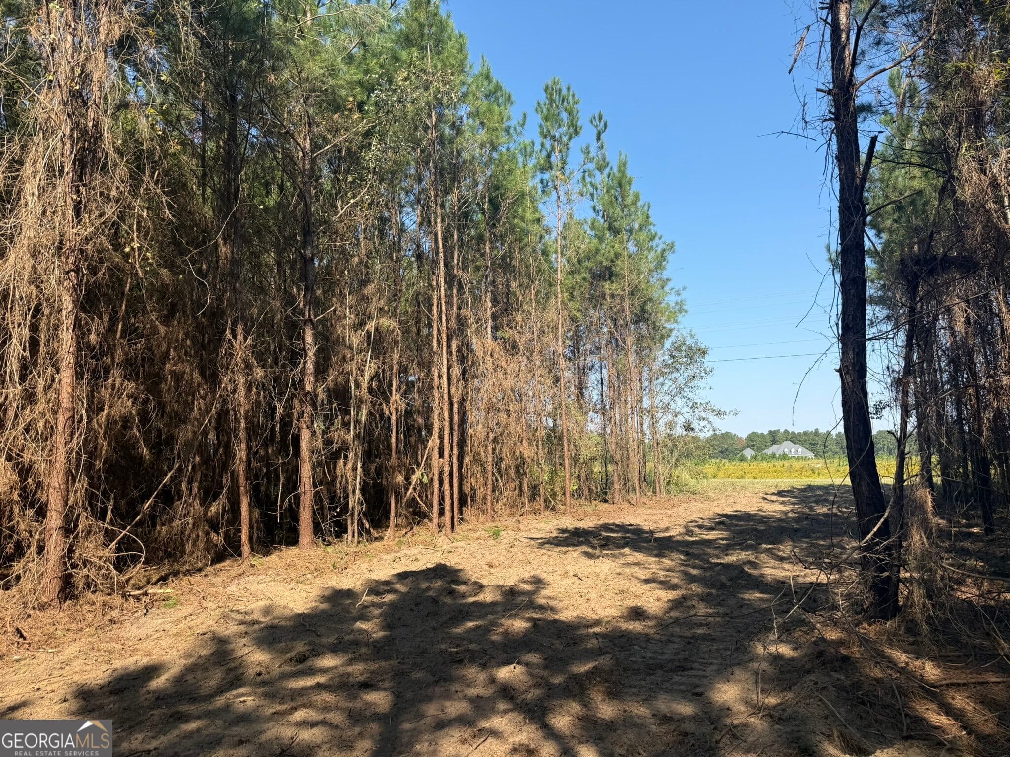 unimproved land for sale at 021 216 Highway, Arlington, GA 39813 — photo 1 of 7