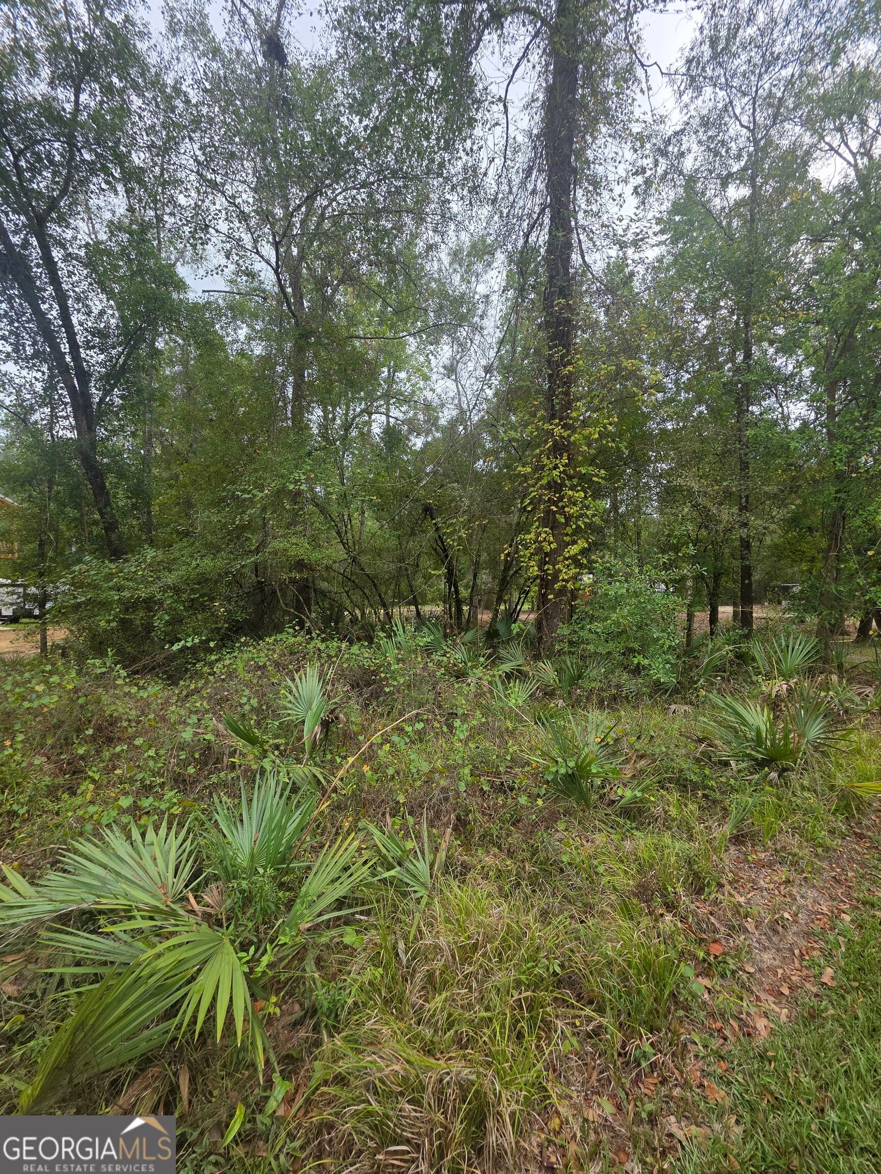 residential lot for sale at 0 Morris Landing Road, Baxley, GA 31513 — photo 2