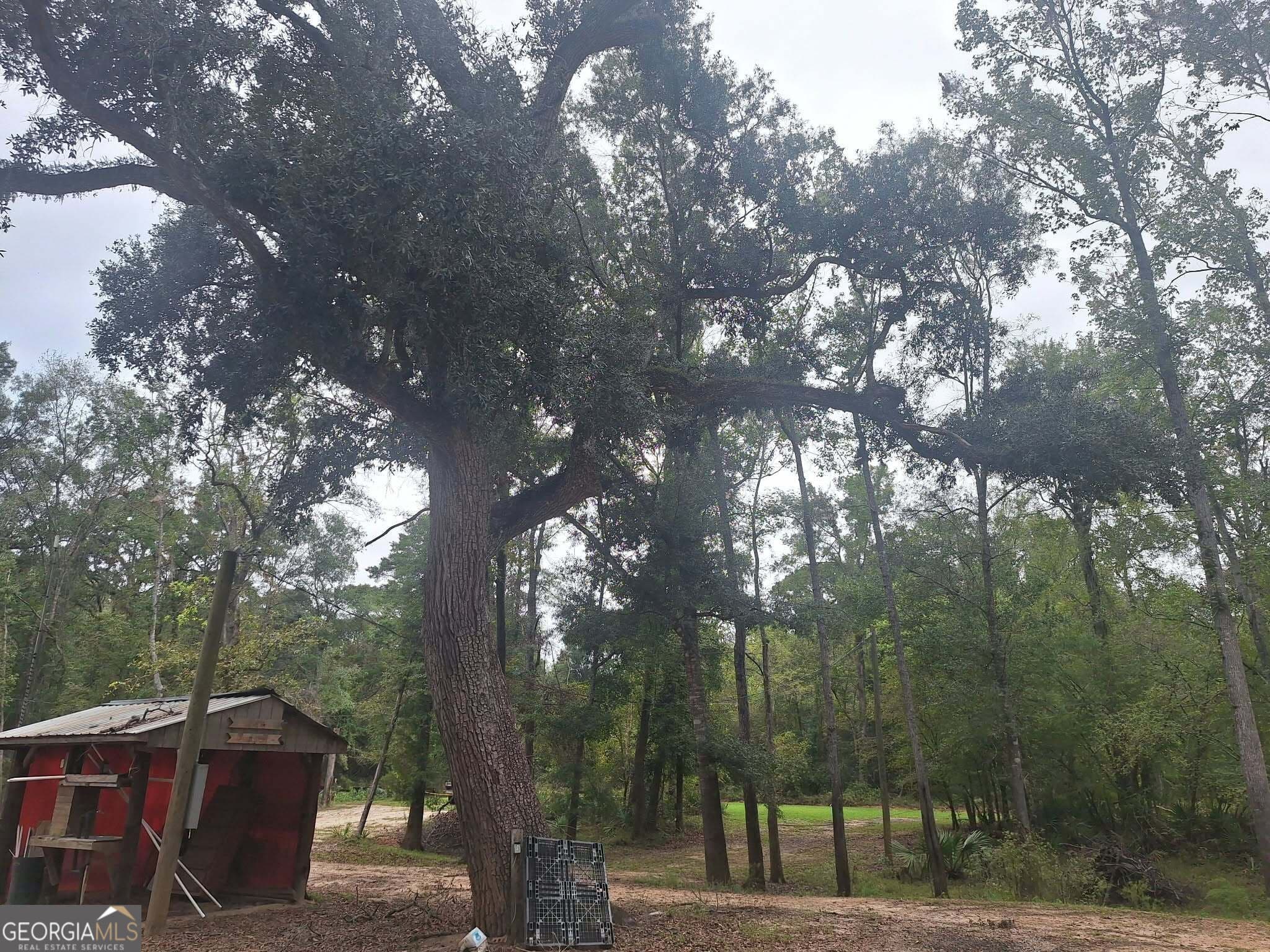 residential lot for sale at 0 Morris Landing Road, Baxley, GA 31513 — photo 6