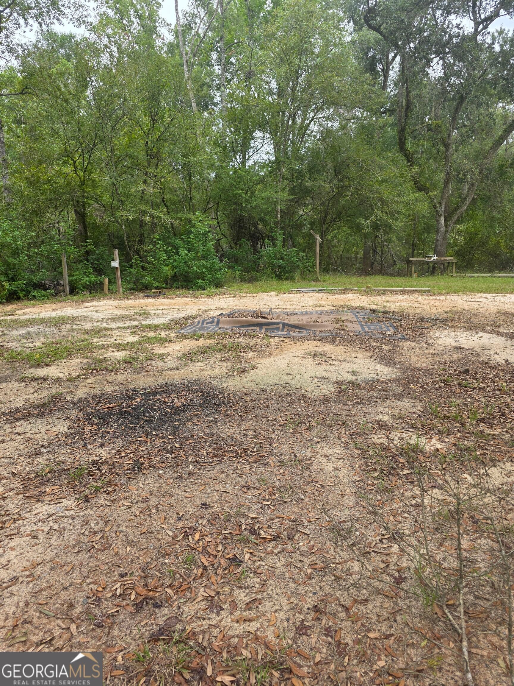 residential lot for sale at 0 Morris Landing Road, Baxley, GA 31513 — photo 7