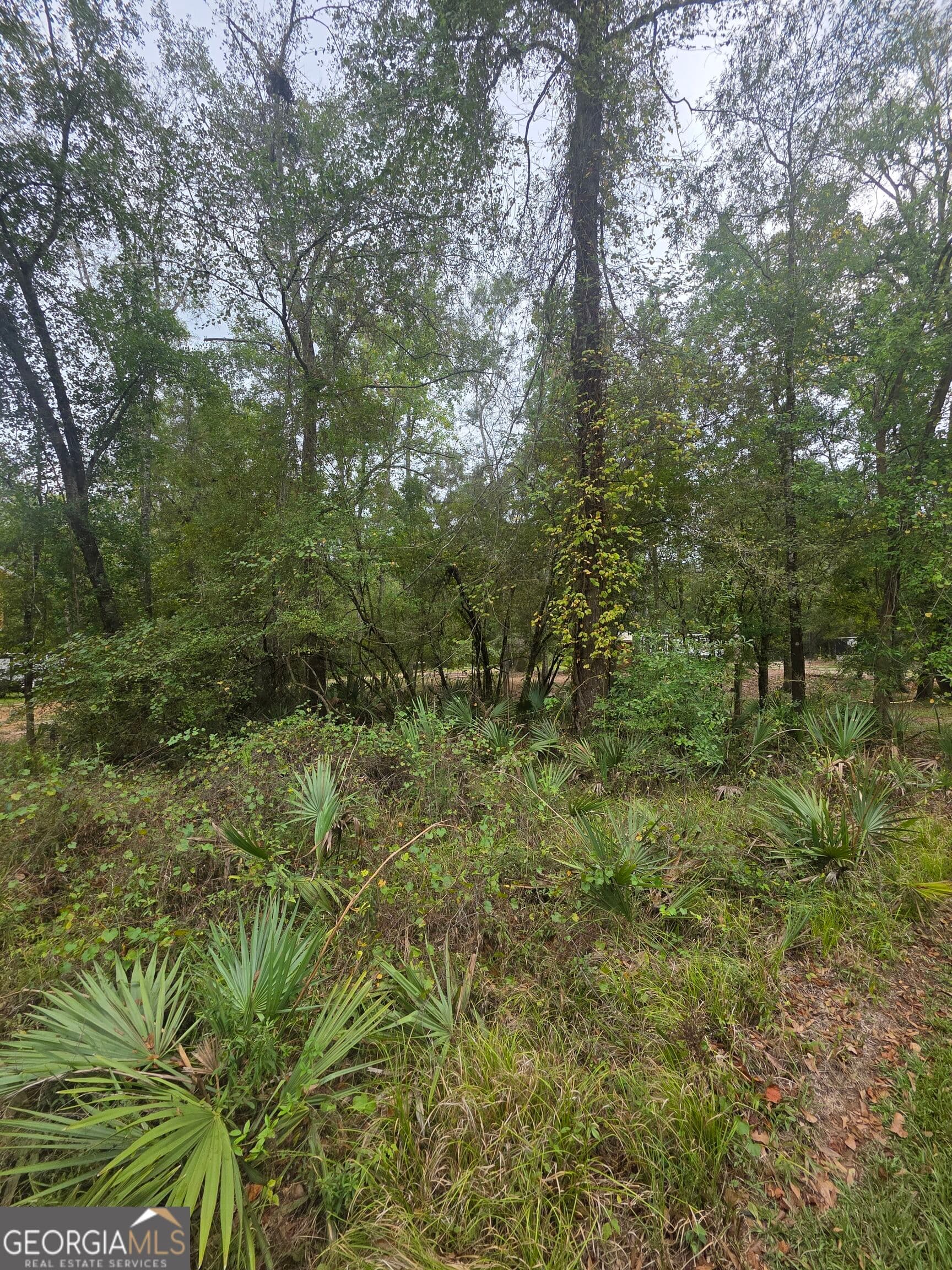 residential lot for sale at 0 Morris Landing Road, Baxley, GA 31513 — photo 3