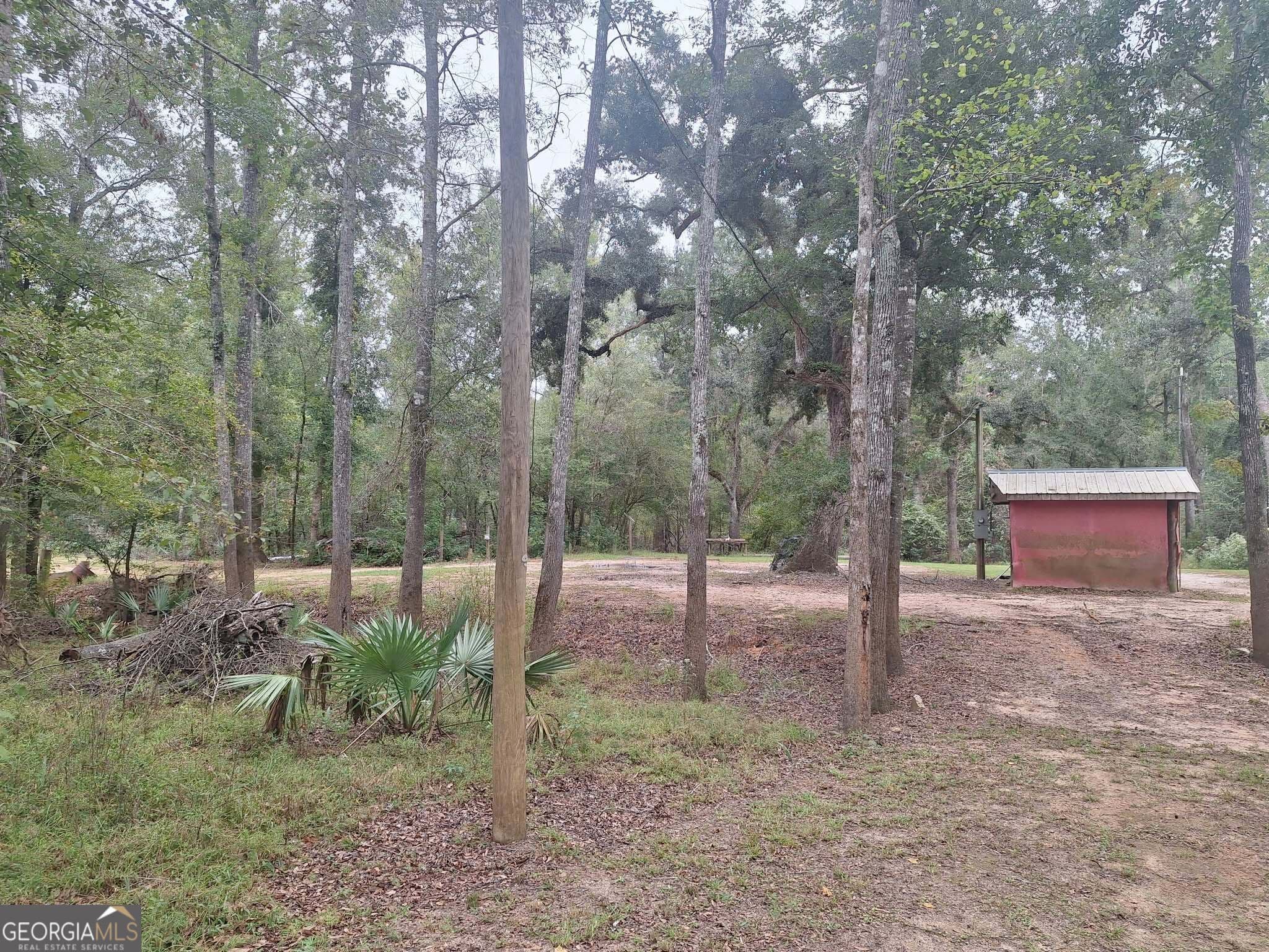 residential lot for sale at 0 Morris Landing Road, Baxley, GA 31513