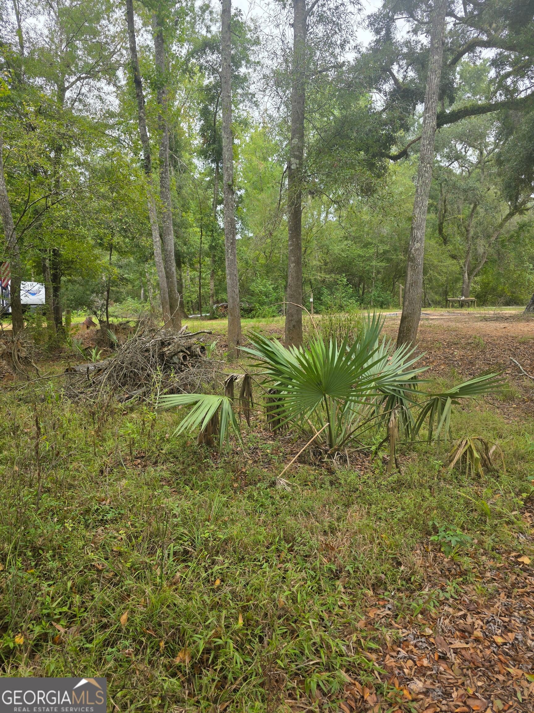 residential lot for sale at 0 Morris Landing Road, Baxley, GA 31513 — photo 5