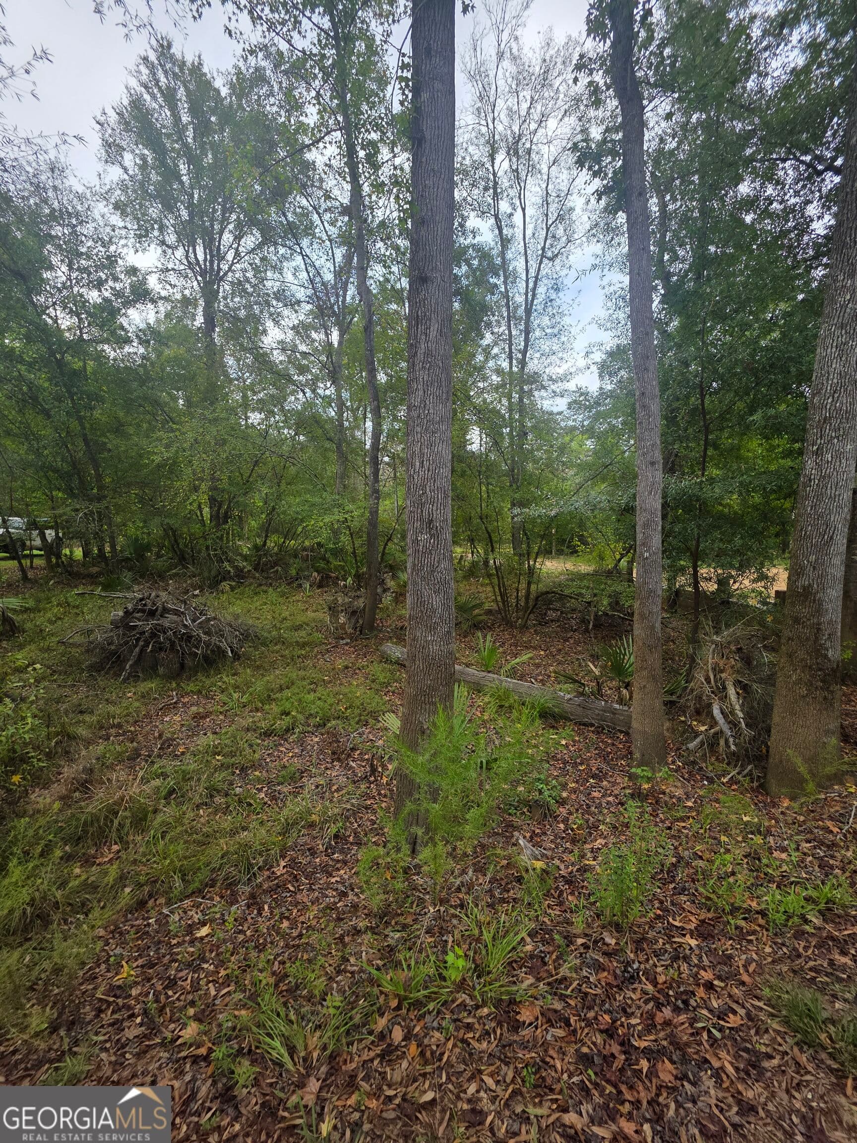 residential lot for sale at 0 Morris Landing Road, Baxley, GA 31513 — photo 9