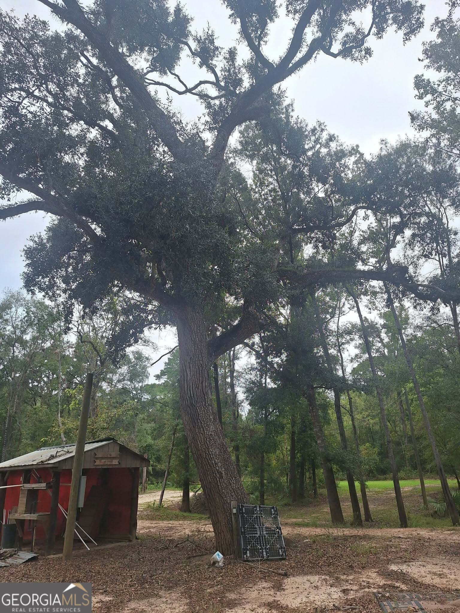residential lot for sale at 0 Morris Landing Road, Baxley, GA 31513 — photo 4
