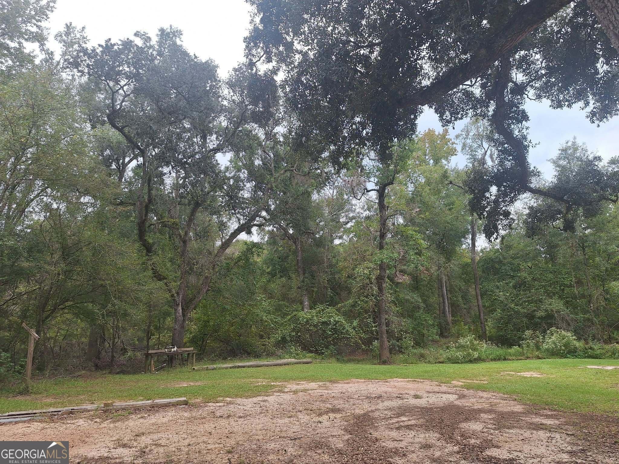 residential lot for sale at 0 Morris Landing Road, Baxley, GA 31513 — photo 8