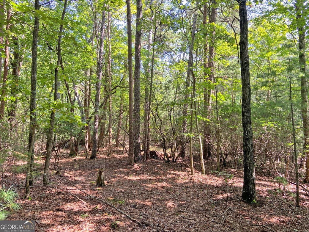 unimproved land for sale at 10.59AC T S Jarrard Road, Dahlonega, GA 30533 — photo 2