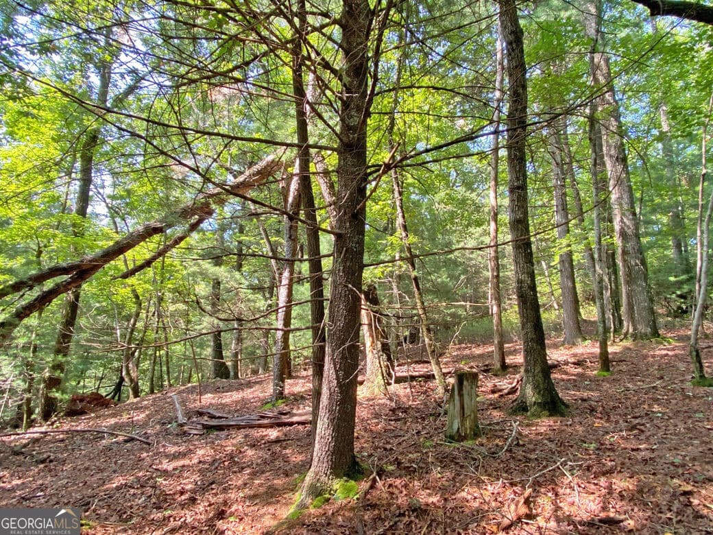 unimproved land for sale at 10.59AC T S Jarrard Road, Dahlonega, GA 30533 — photo 6