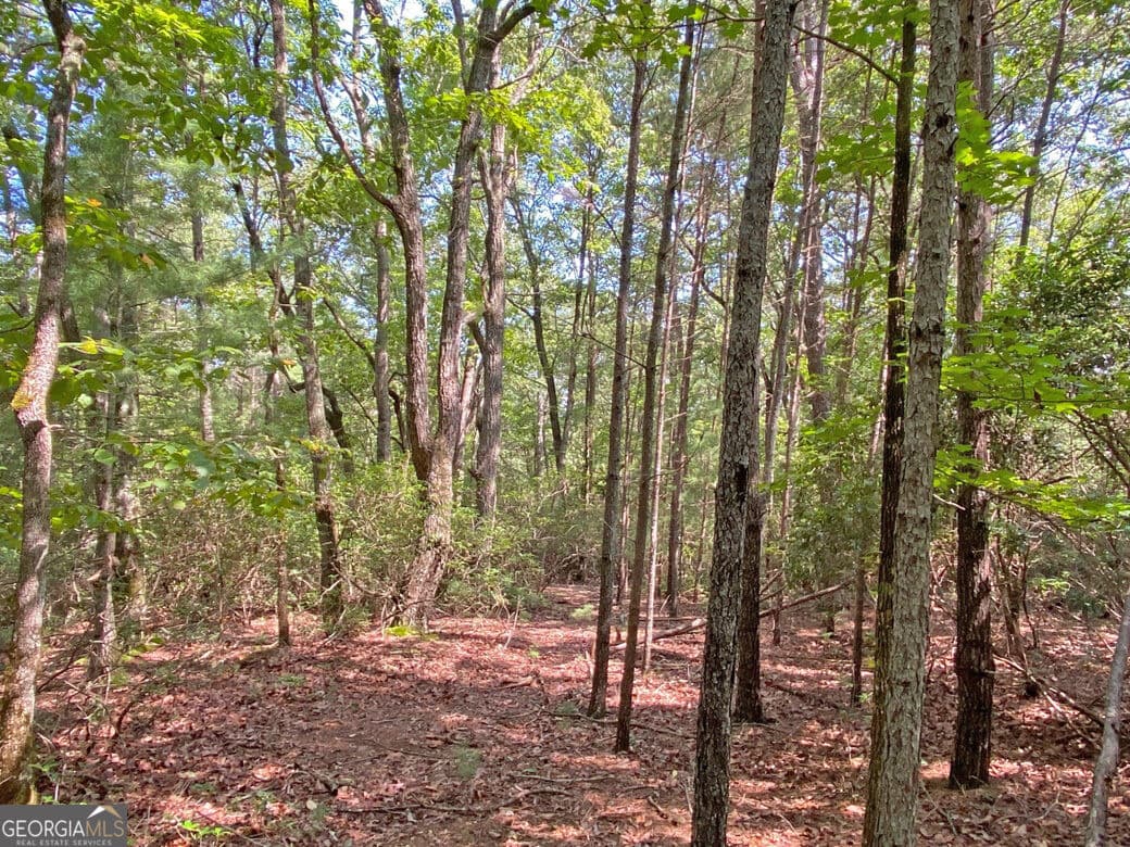 unimproved land for sale at 10.59AC T S Jarrard Road, Dahlonega, GA 30533 — photo 1 of 16