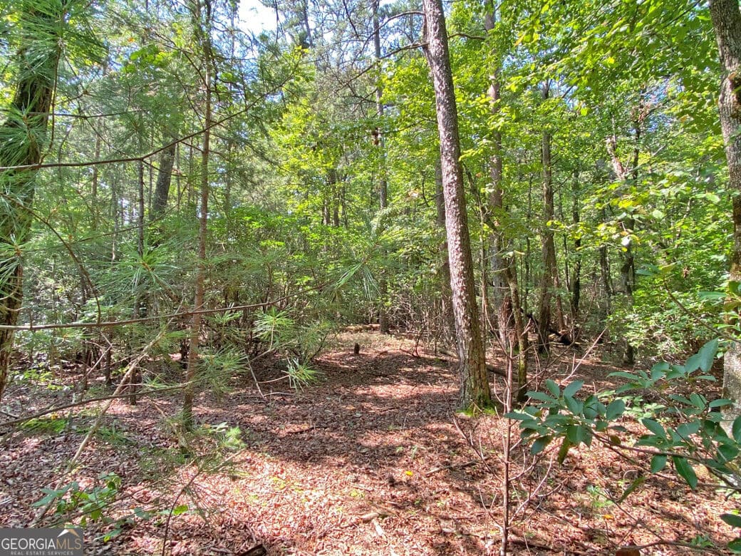 unimproved land for sale at 10.59AC T S Jarrard Road, Dahlonega, GA 30533 — photo 5