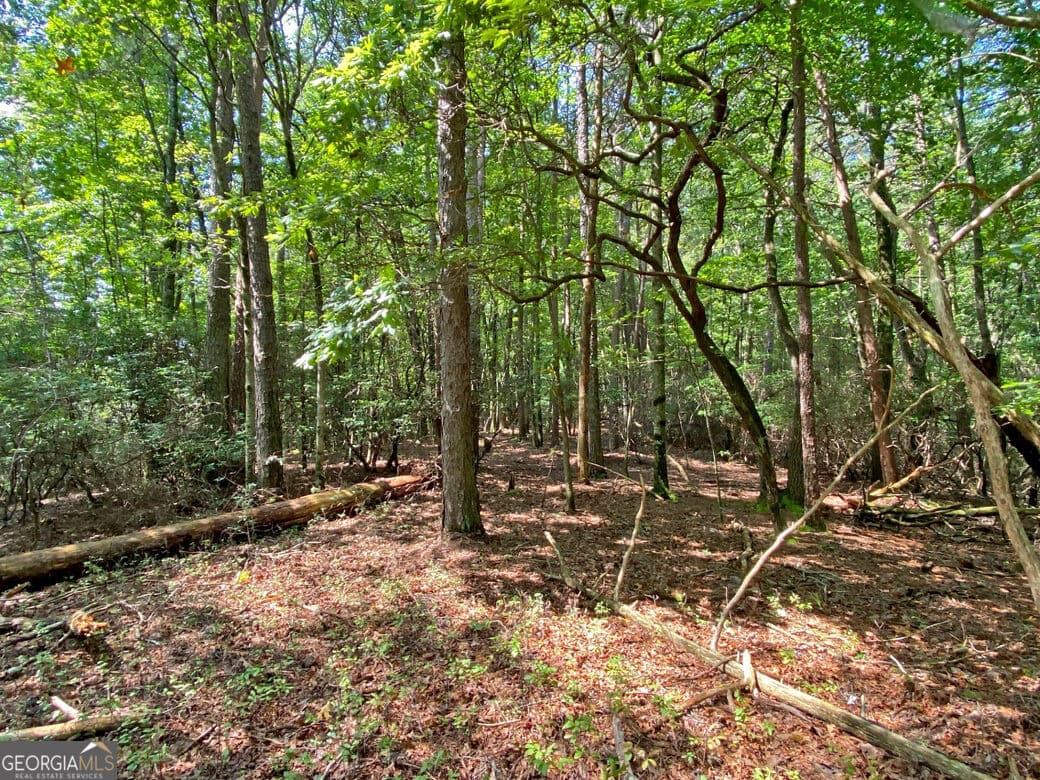 unimproved land for sale at 10.59AC T S Jarrard Road, Dahlonega, GA 30533 — photo 9