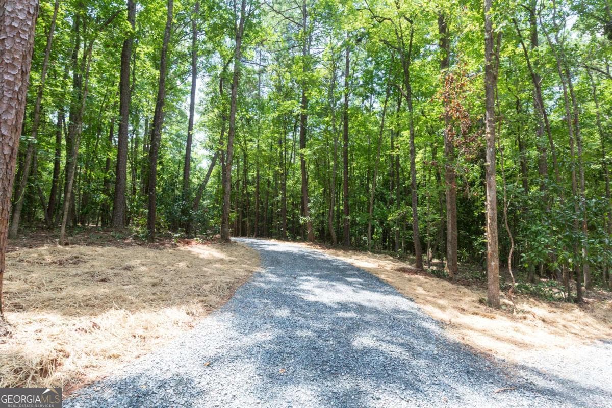 4 bedroom, 2 bathroom manufactured home,single family residence for sale at 0 Roosevelt HWY - LOT 1, Warm Springs, GA 31830 — photo 6
