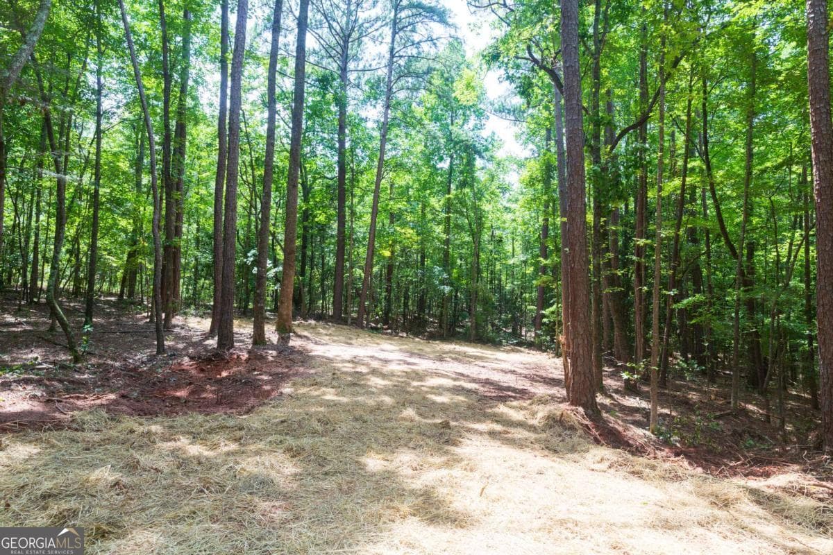 4 bedroom, 2 bathroom manufactured home,single family residence for sale at 0 Roosevelt HWY - LOT 1, Warm Springs, GA 31830 — photo 4