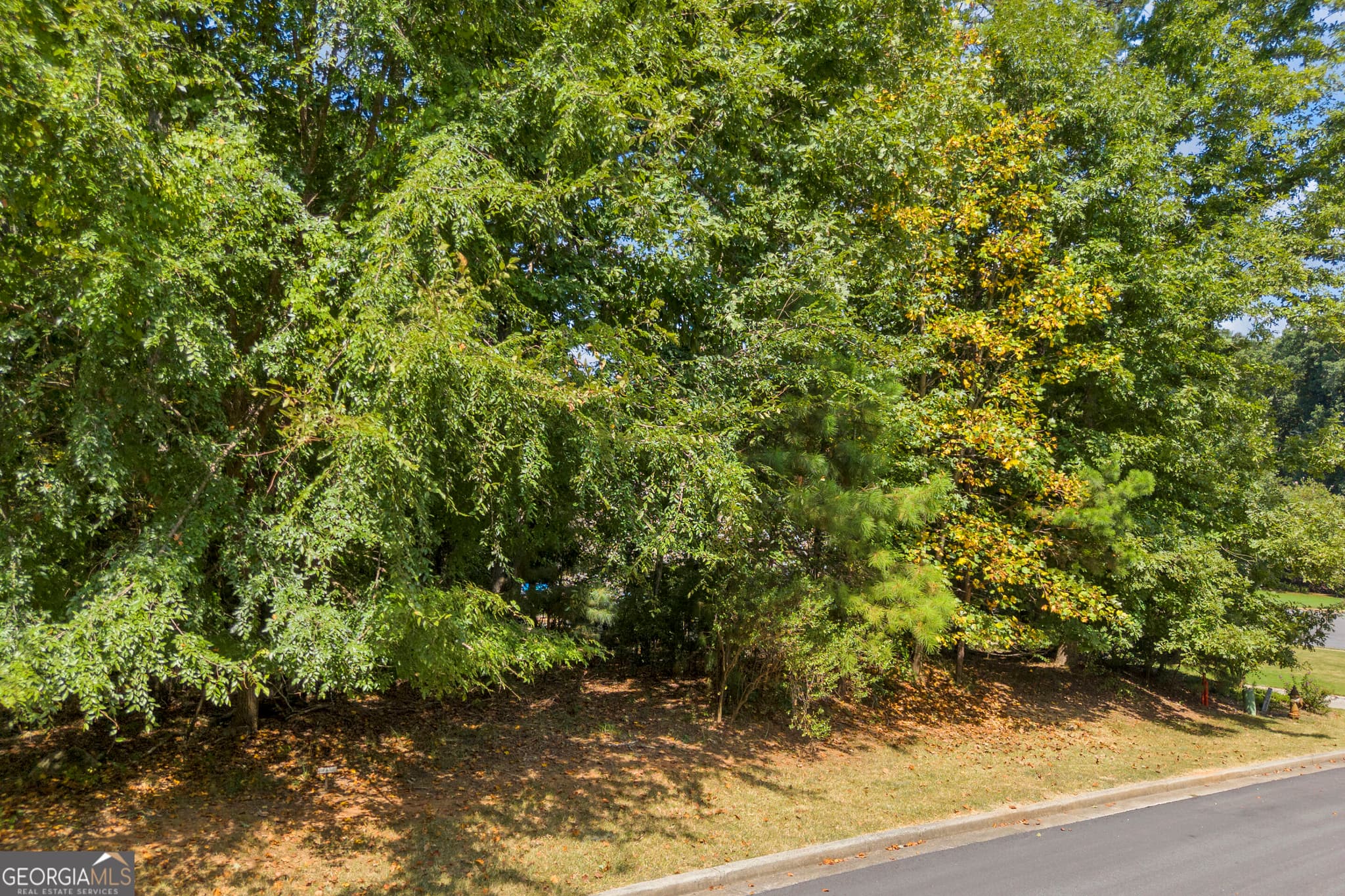 residential lot for sale at 111 Kodiak Lane, Bogart, GA 30622 — photo 2