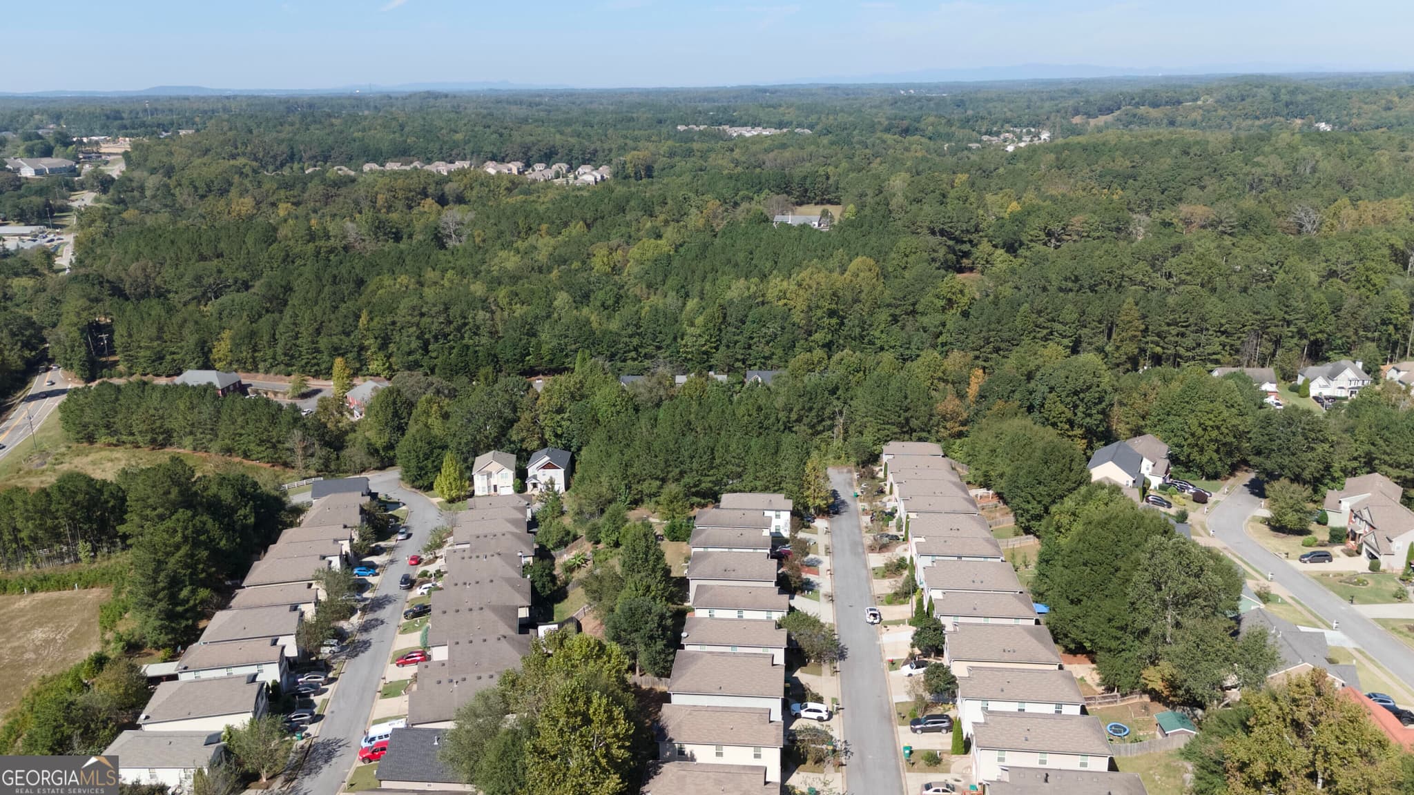 agriculture for sale at 213 Village Lane, Woodstock, GA 30188 — photo 2