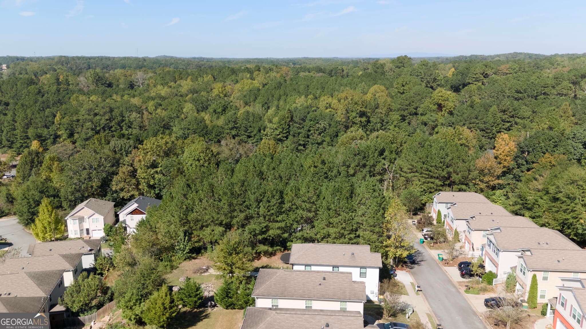 agriculture for sale at 213 Village Lane, Woodstock, GA 30188 — photo 9