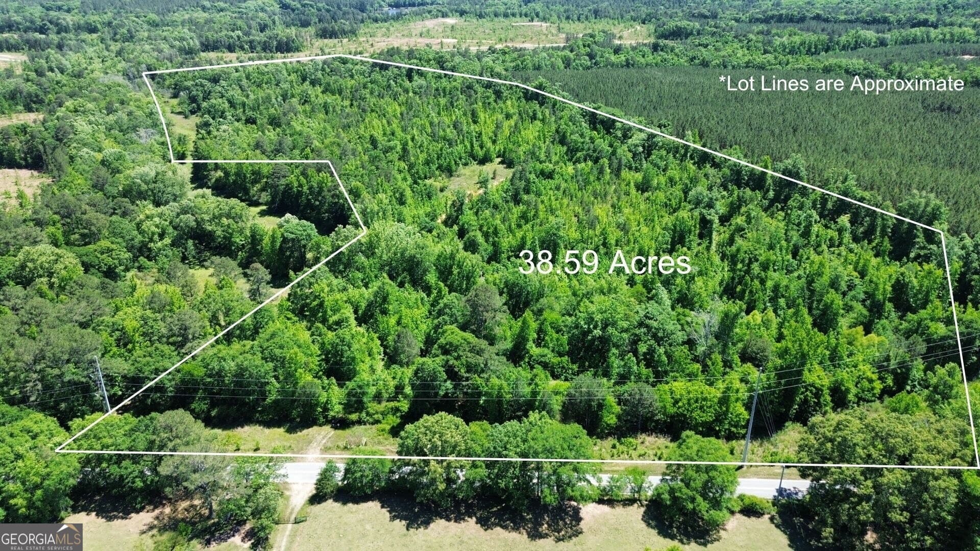 agriculture for sale at 0 Leslie Mill Road, Greensboro, GA 30642 — photo 2
