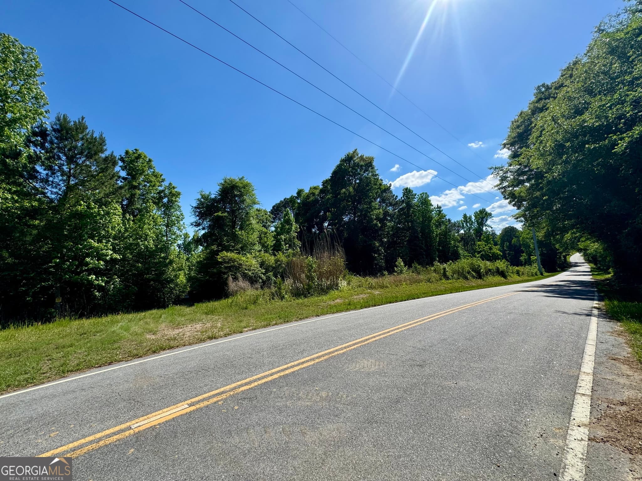 agriculture for sale at 0 Leslie Mill Road, Greensboro, GA 30642 — photo 6