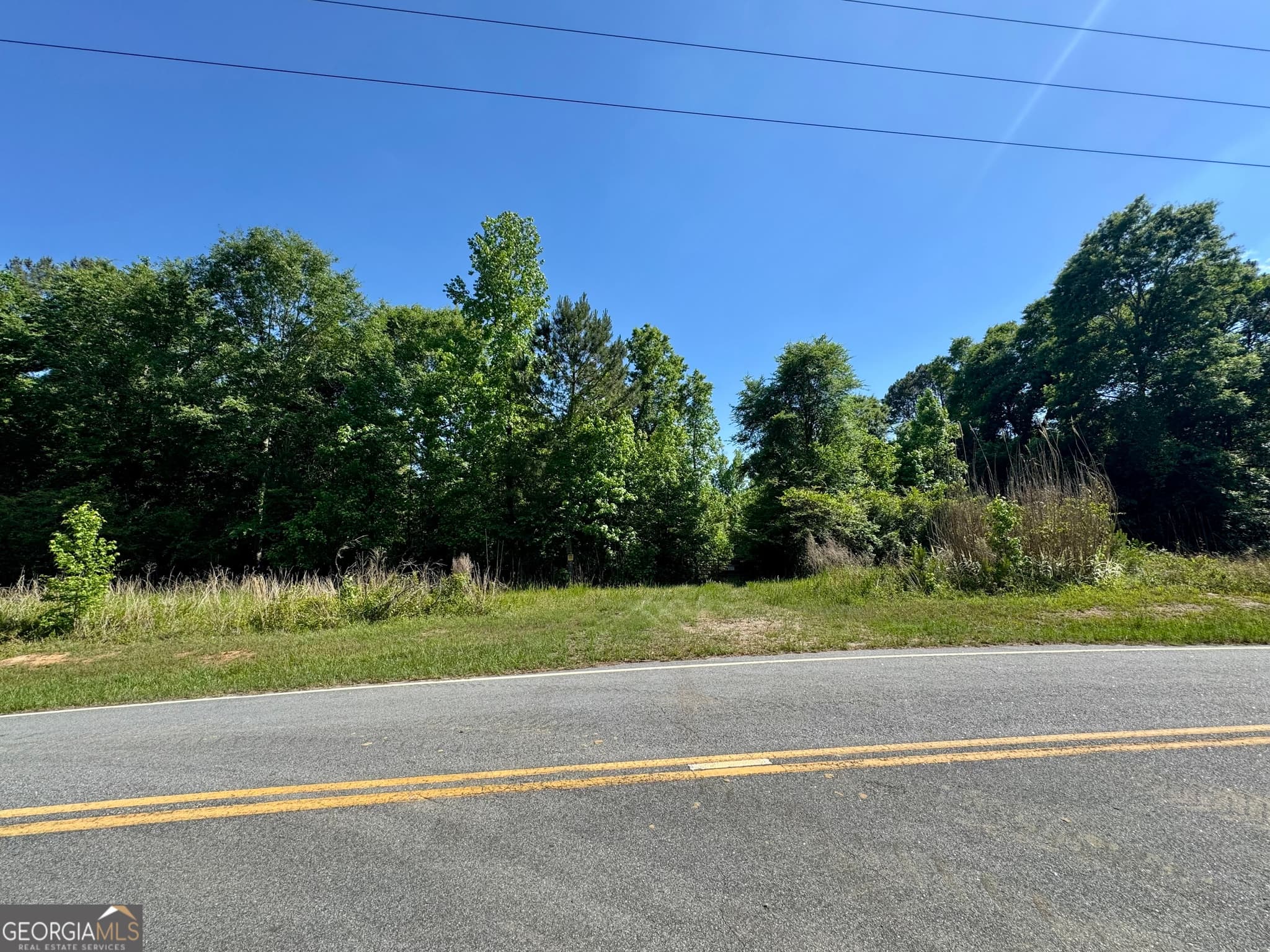 agriculture for sale at 0 Leslie Mill Road, Greensboro, GA 30642 — photo 7
