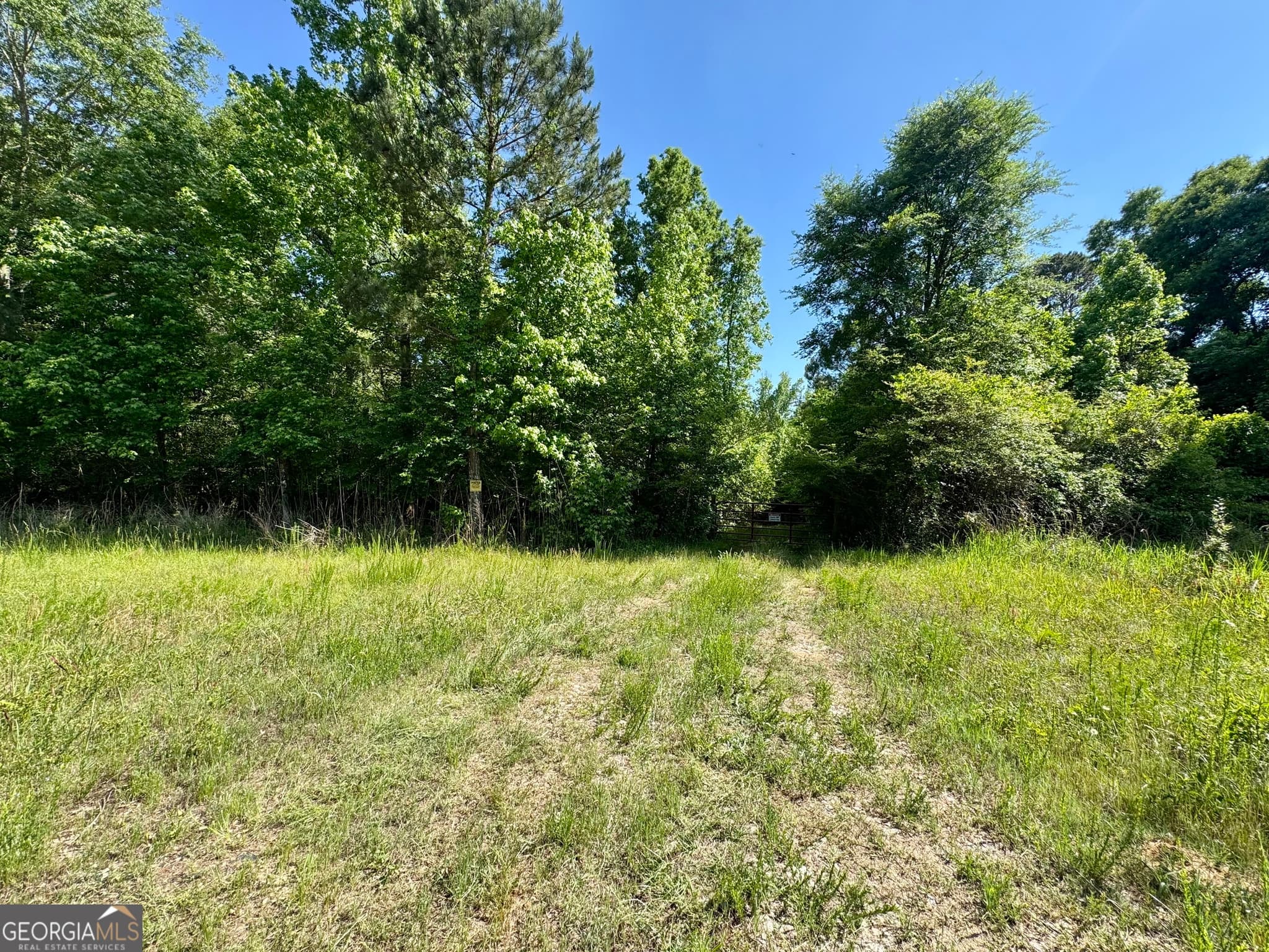 agriculture for sale at 0 Leslie Mill Road, Greensboro, GA 30642 — photo 3