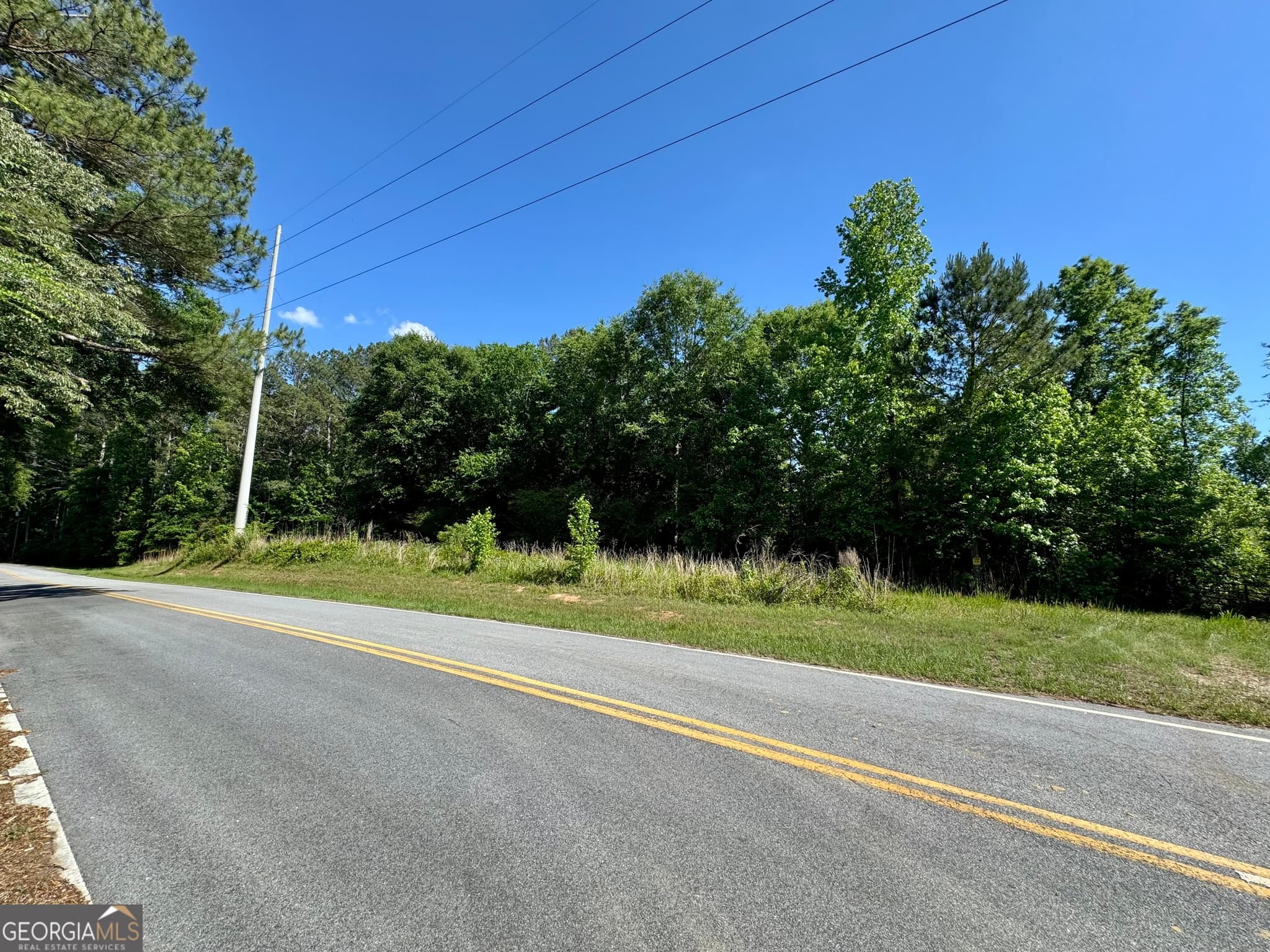 agriculture for sale at 0 Leslie Mill Road, Greensboro, GA 30642 — photo 5