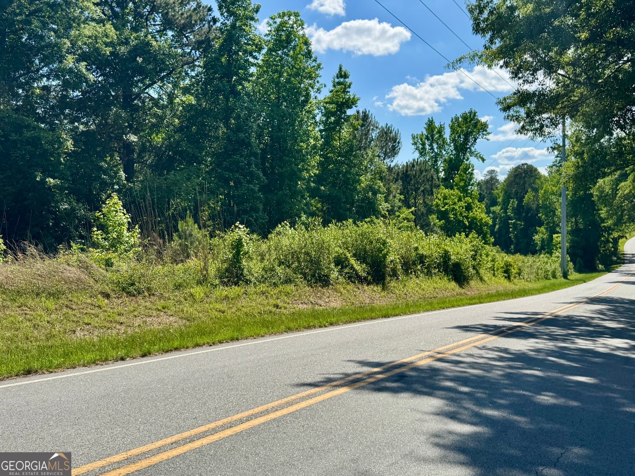 agriculture for sale at 0 Leslie Mill Road, Greensboro, GA 30642 — photo 9