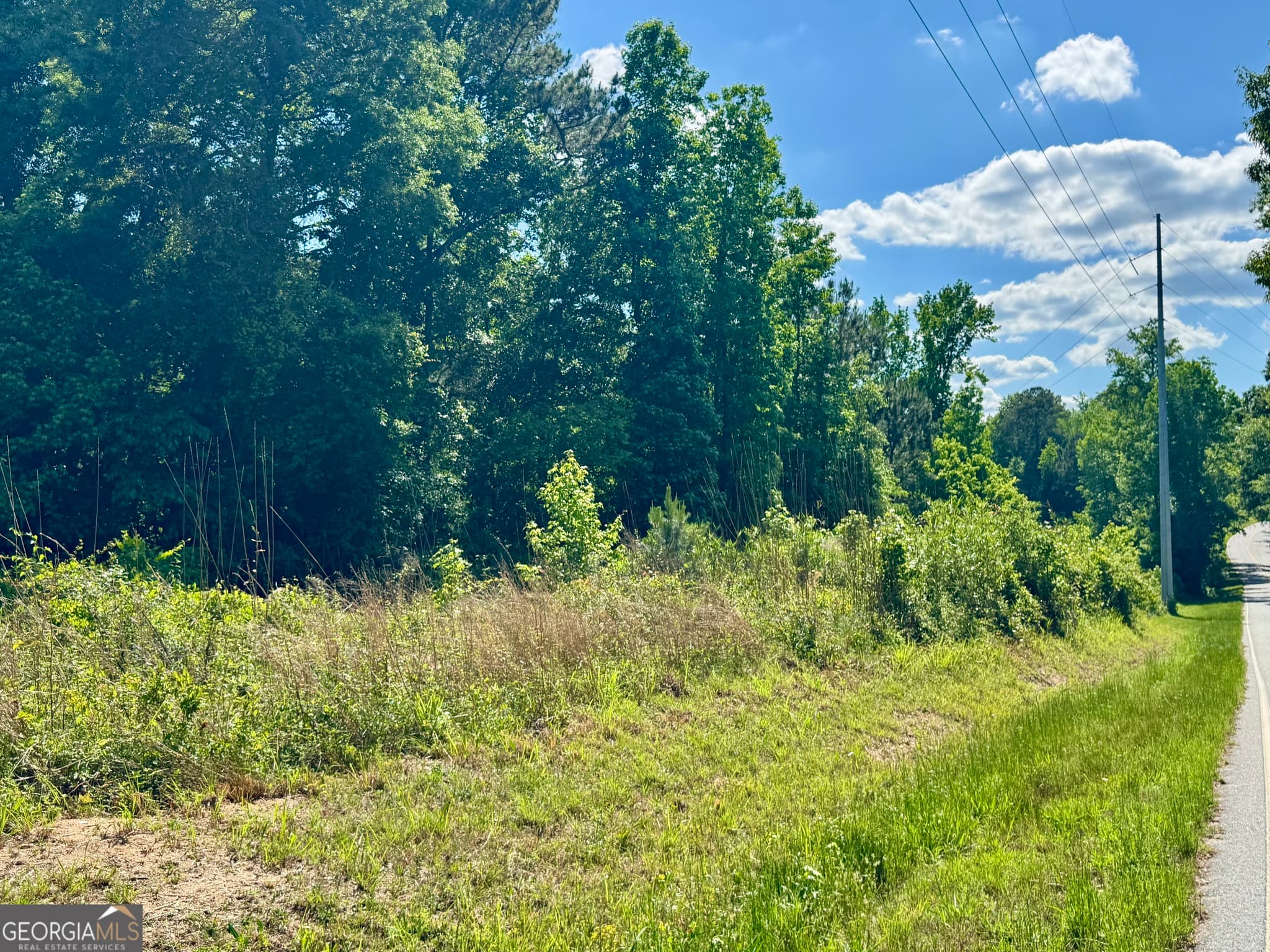 agriculture for sale at 0 Leslie Mill Road, Greensboro, GA 30642 — photo 10