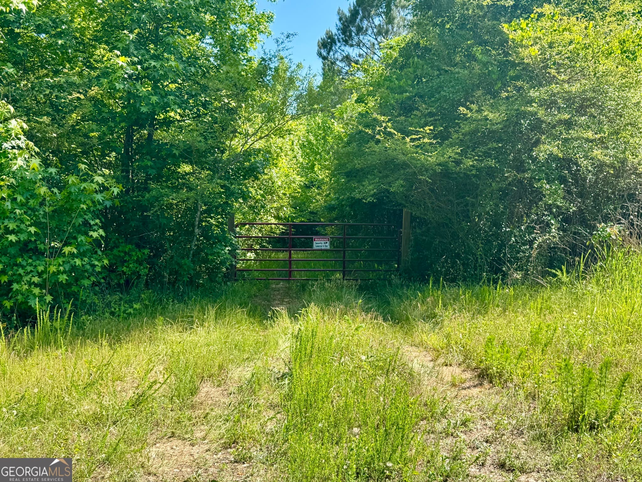 agriculture for sale at 0 Leslie Mill Road, Greensboro, GA 30642 — photo 4