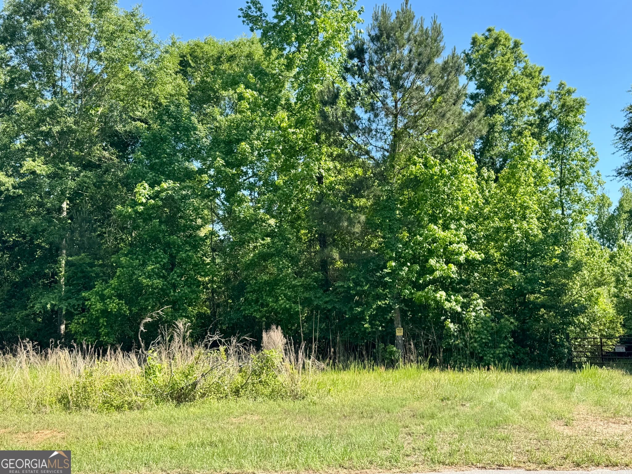 agriculture for sale at 0 Leslie Mill Road, Greensboro, GA 30642 — photo 8