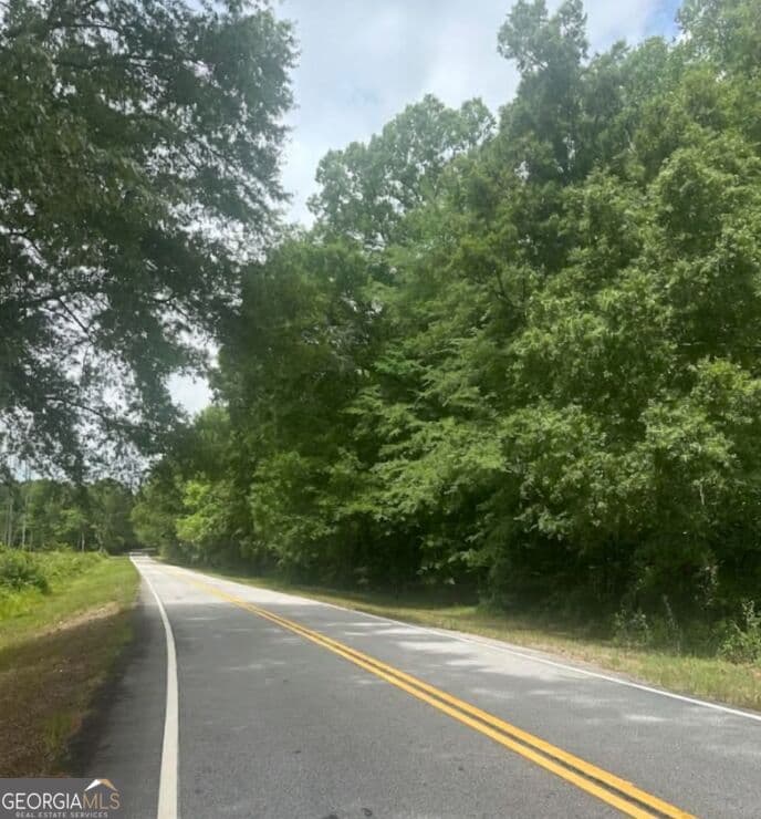 4 bedroom, 4.5 bathroom, 4,662 sq ft single family residence for sale at LOT 1 (40+/- AC Line creek Road, Senoia, GA 30276