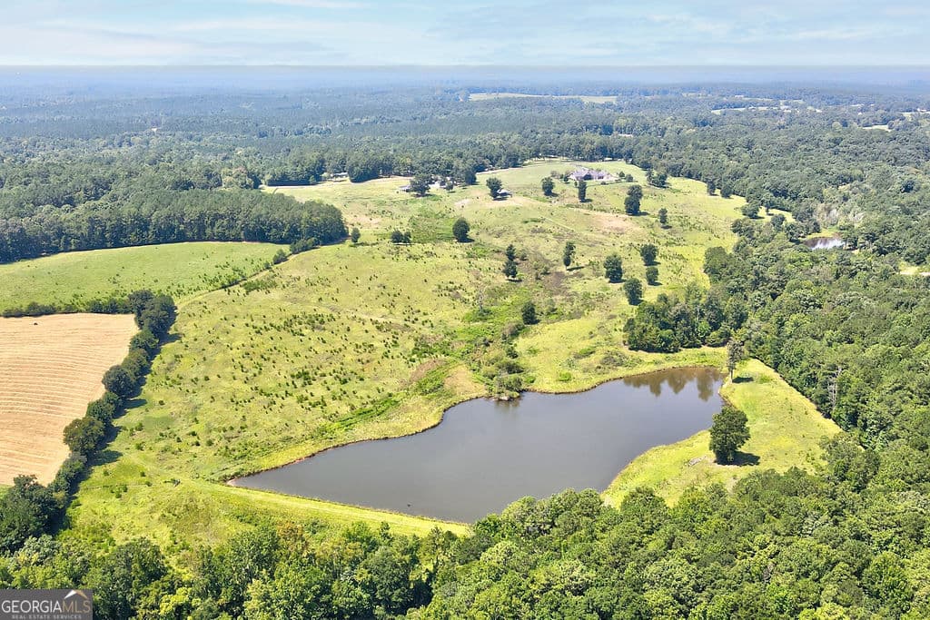 unimproved land for sale at 0 Gray Horse Road, Greensboro, GA 30642 — photo 2