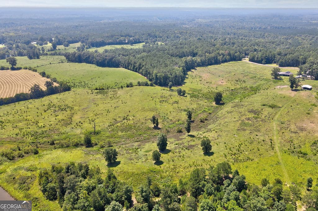 unimproved land for sale at 0 Gray Horse Road, Greensboro, GA 30642 — photo 3