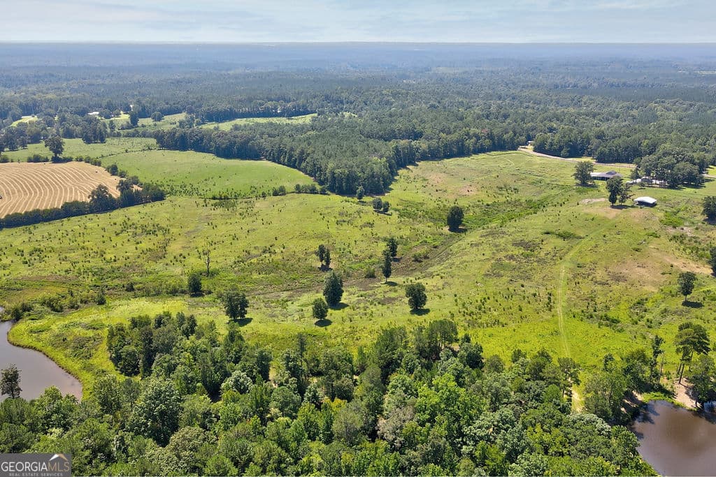 unimproved land for sale at 0 Gray Horse Road, Greensboro, GA 30642 — photo 5