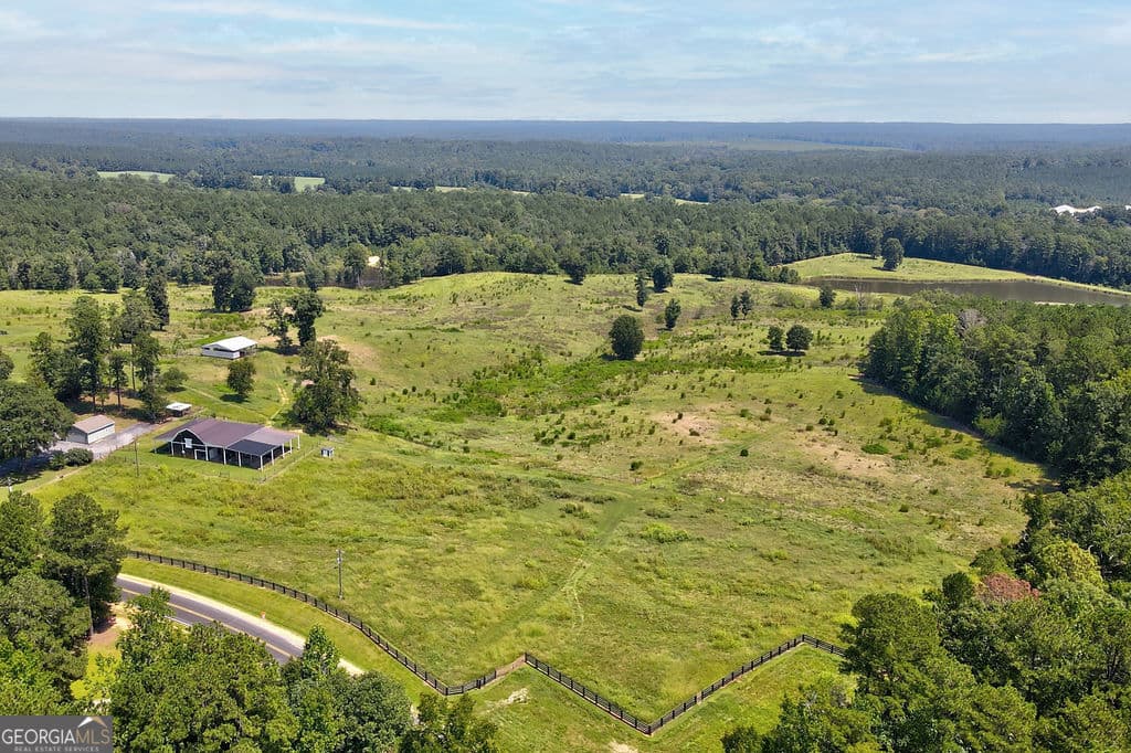 unimproved land for sale at 0 Gray Horse Road, Greensboro, GA 30642 — photo 4
