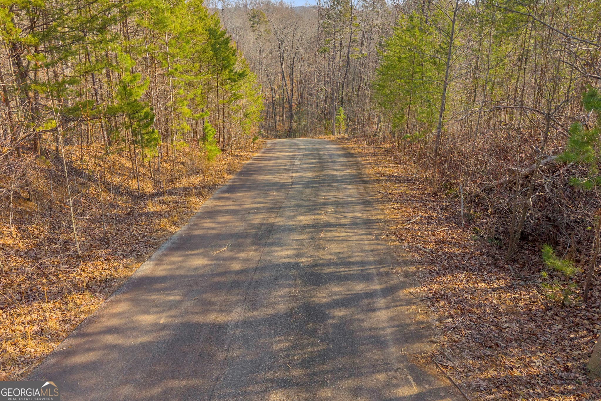 residential lot for sale at 0 Planters Creek, Baldwin, GA 30511 — photo 5
