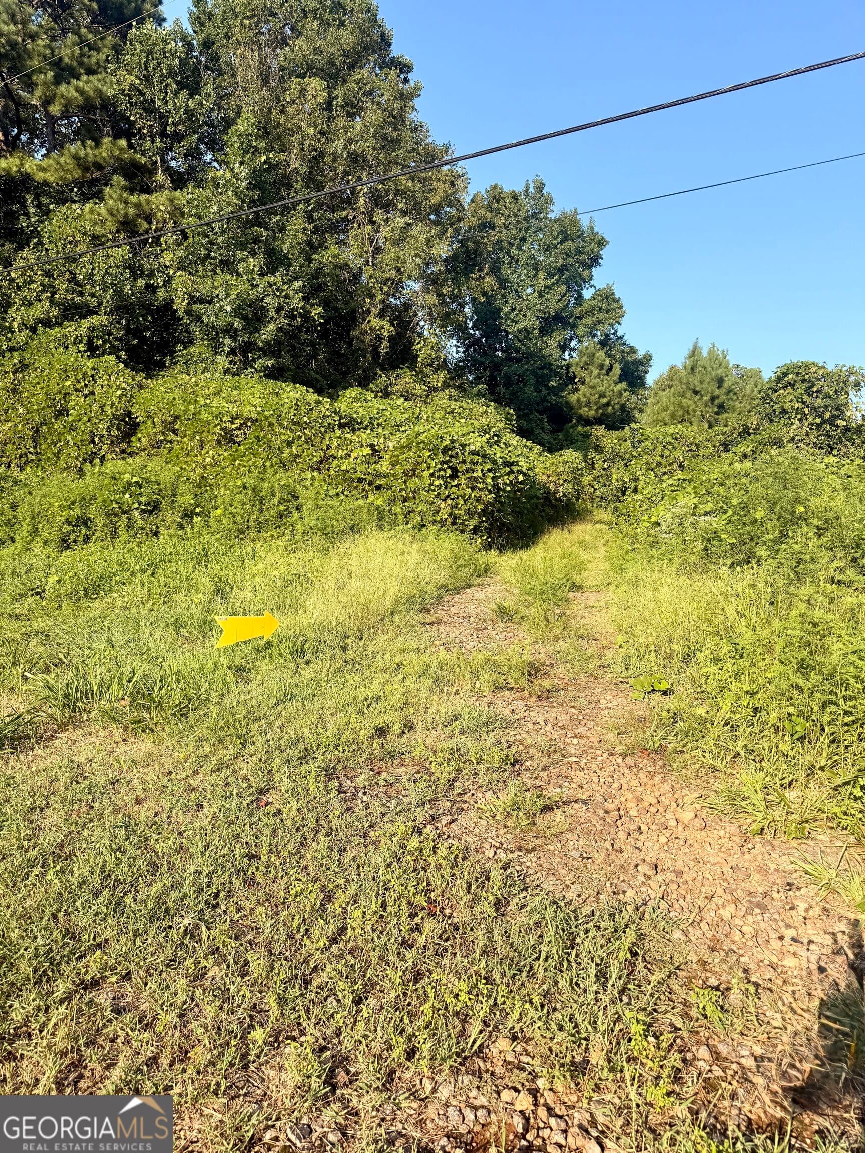 agriculture for sale at 0 Mountain Top Road, Winston, GA 30187 — photo 2