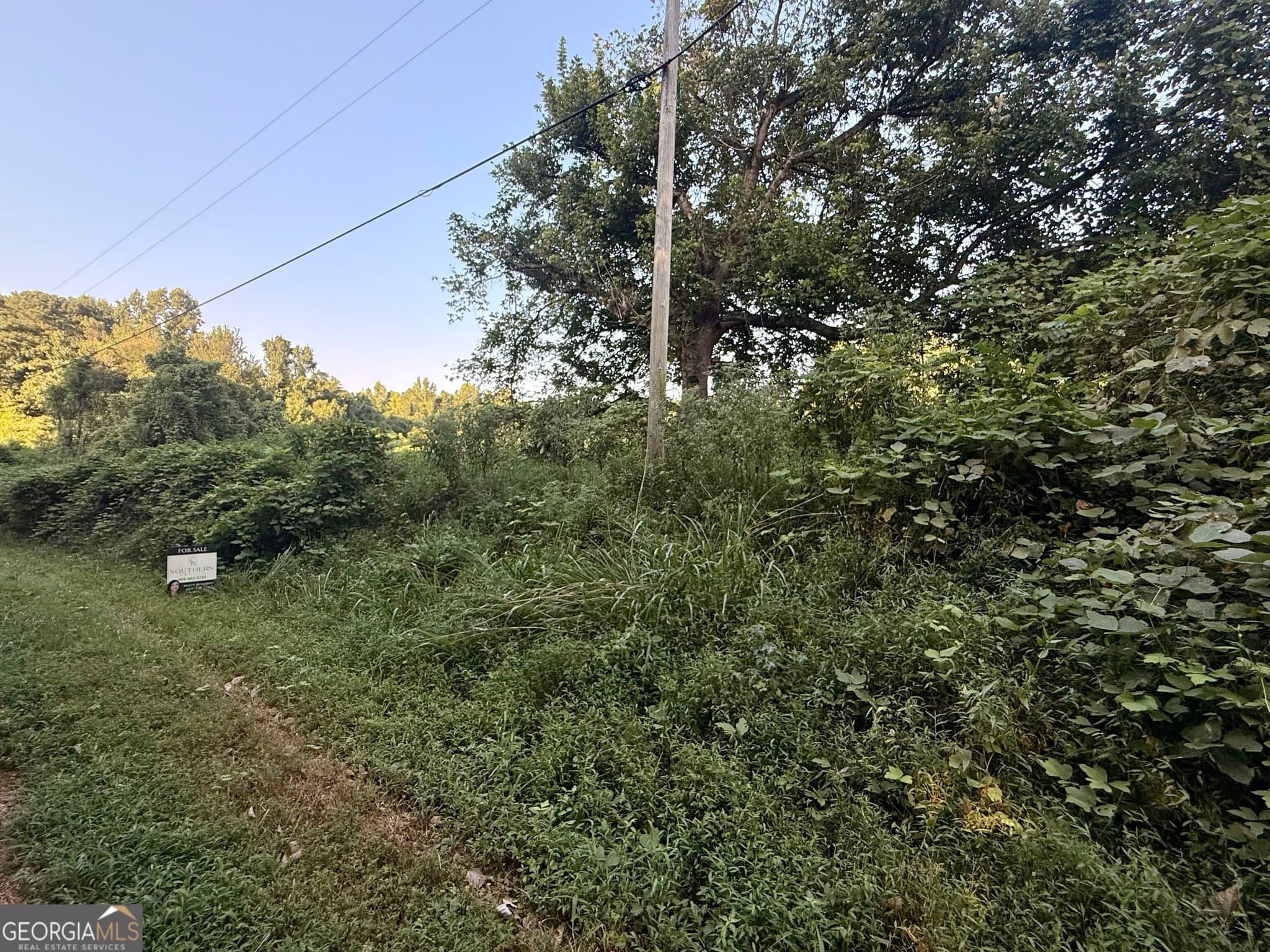 agriculture for sale at 0 Mountain Top Road, Winston, GA 30187 — photo 6