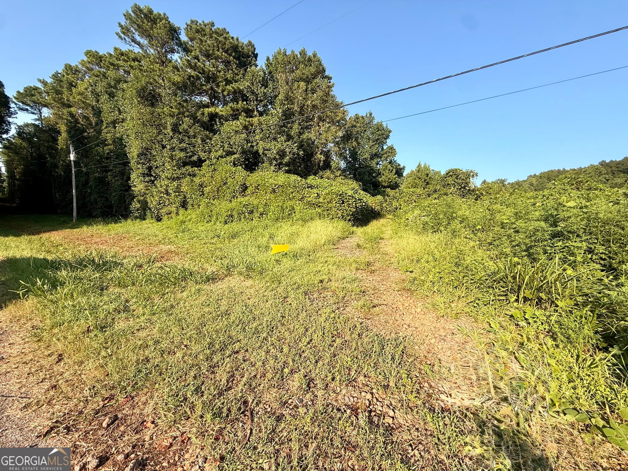 agriculture for sale at 0 Mountain Top Road, Winston, GA 30187 — photo 3