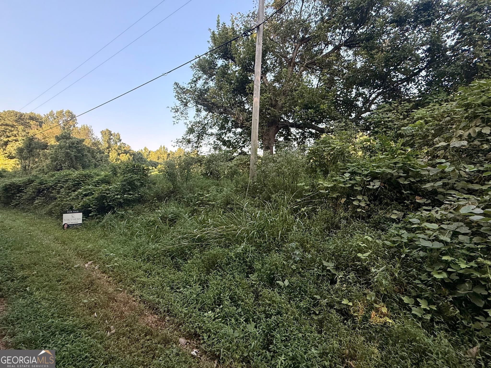 agriculture for sale at 0 Mountain Top Road, Winston, GA 30187 — photo 5