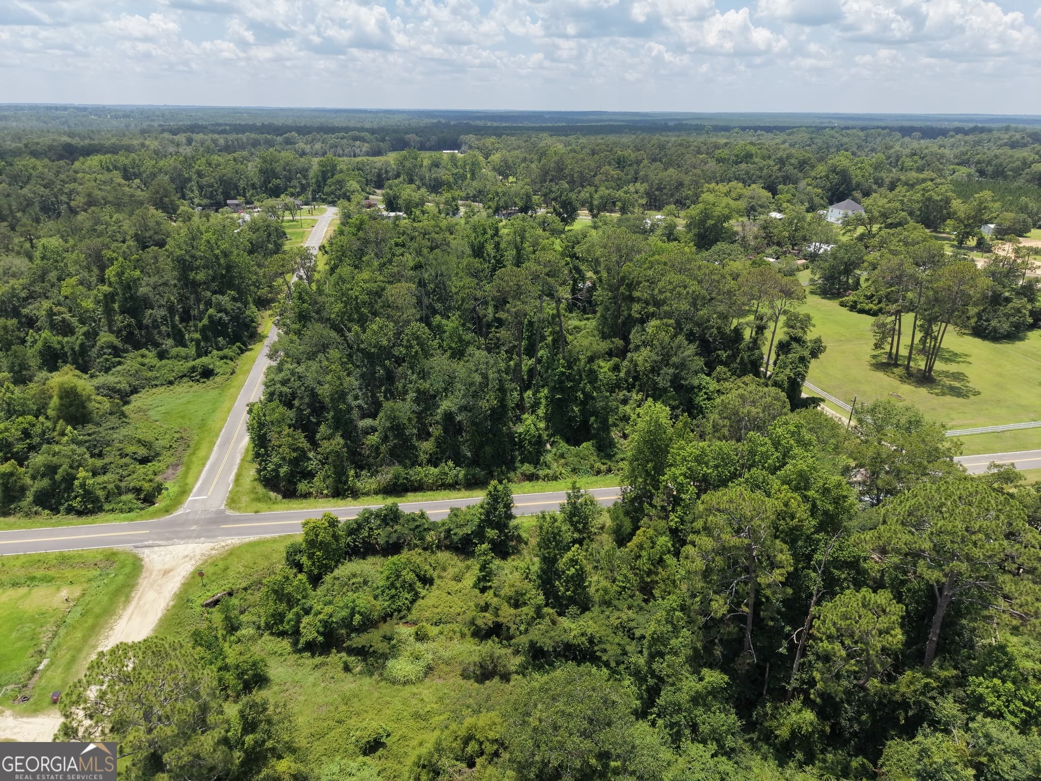 unimproved land for sale at 0 Center Avenue, Mcrae-Helena, GA 31037 — photo 2