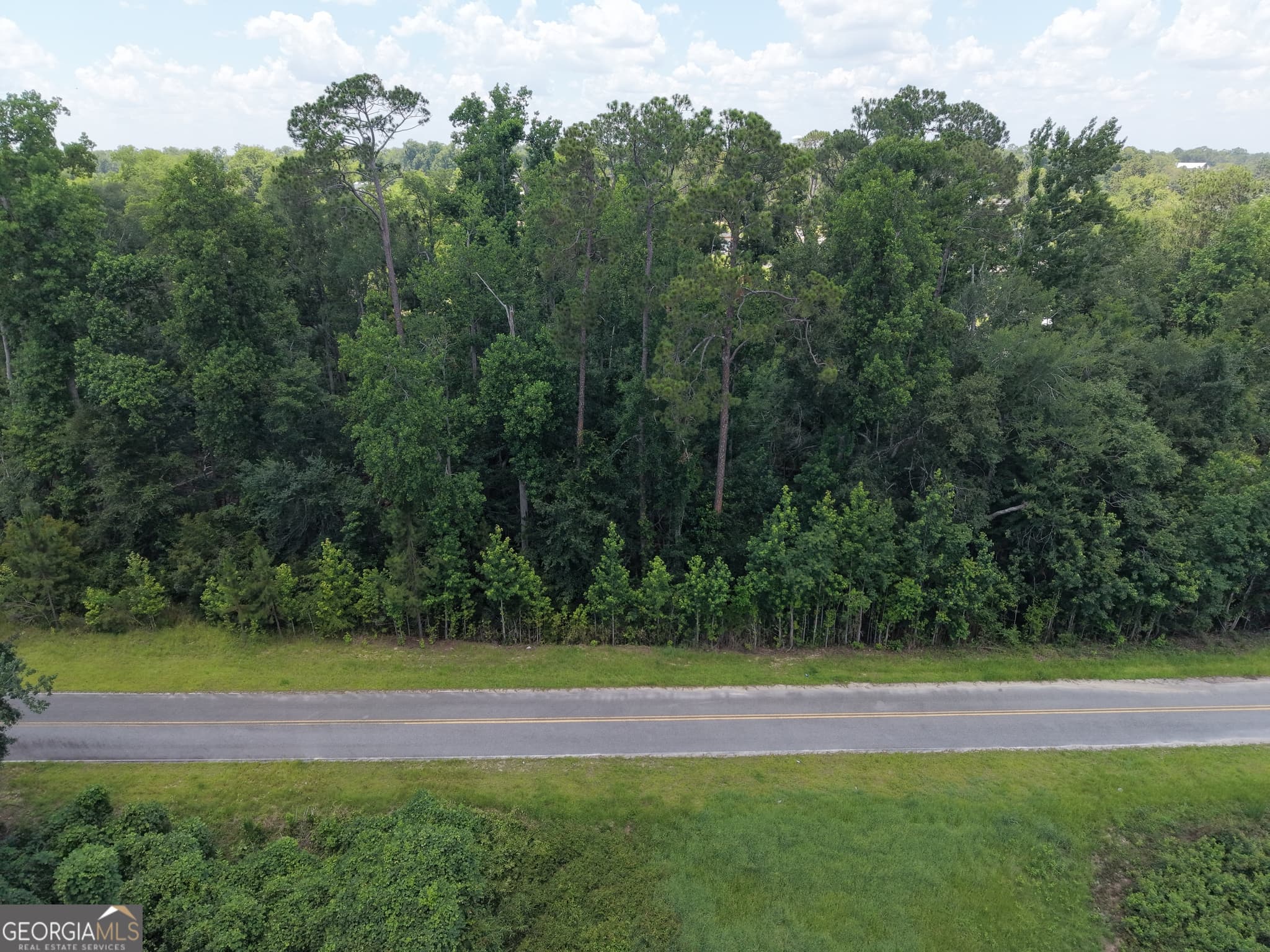 unimproved land for sale at 0 Center Avenue, Mcrae-Helena, GA 31037 — photo 3