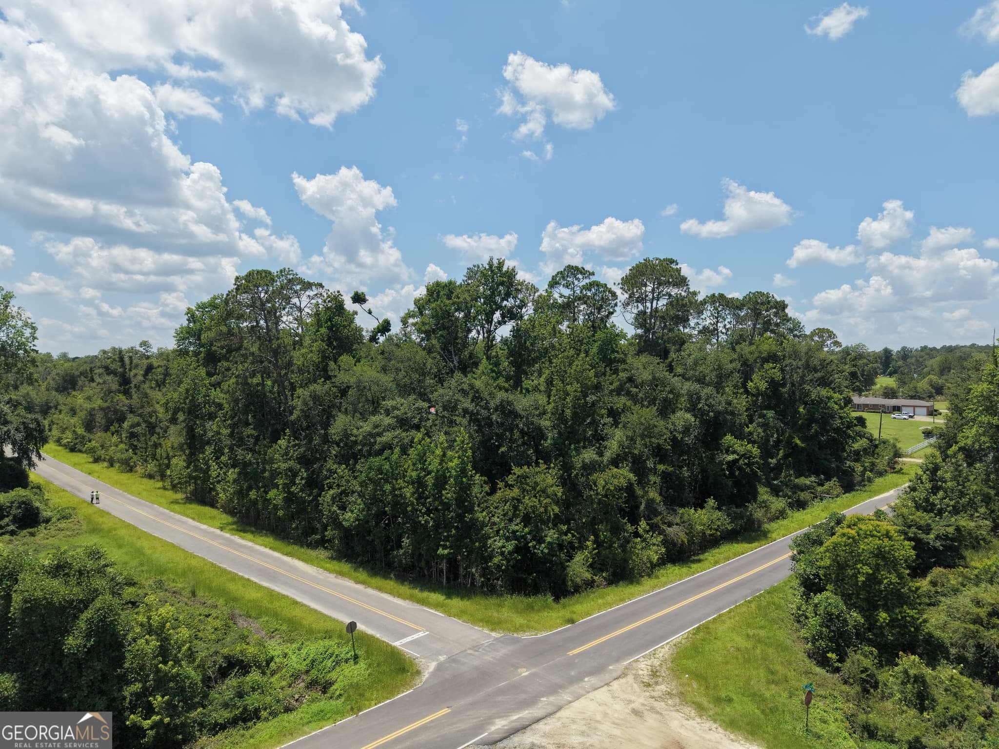 unimproved land for sale at 0 Center Avenue, Mcrae-Helena, GA 31037 — photo 1 of 8