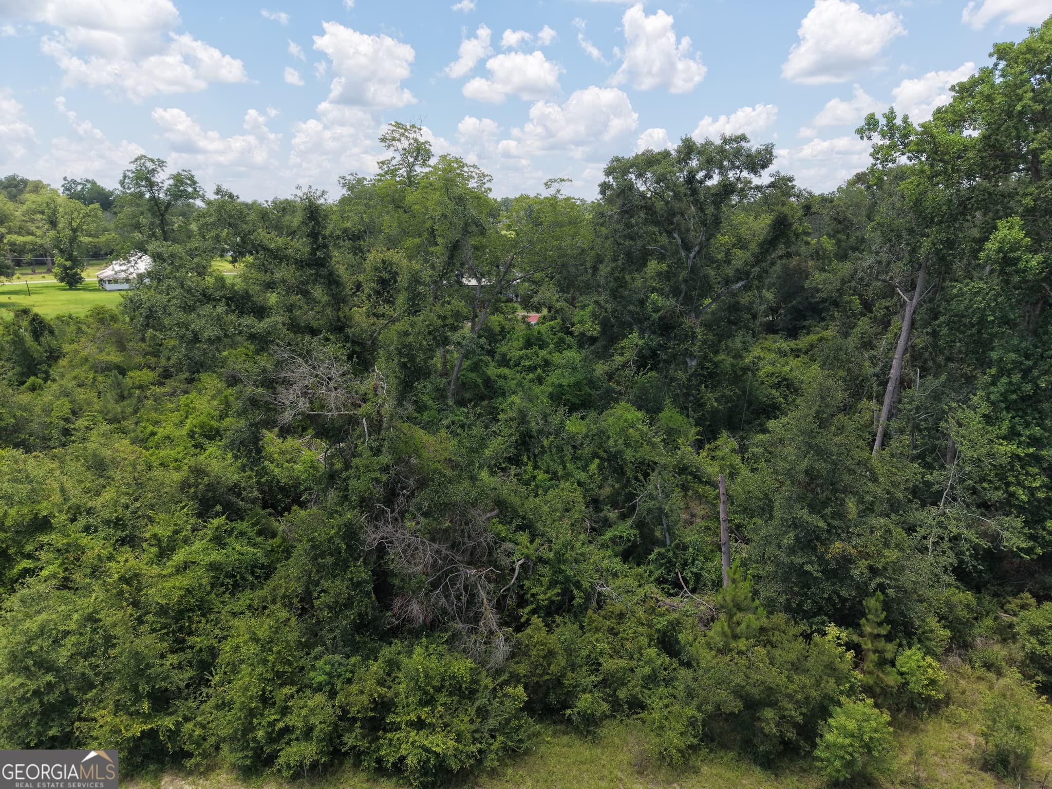 unimproved land for sale at 0 Center Avenue, Mcrae-Helena, GA 31037 — photo 5