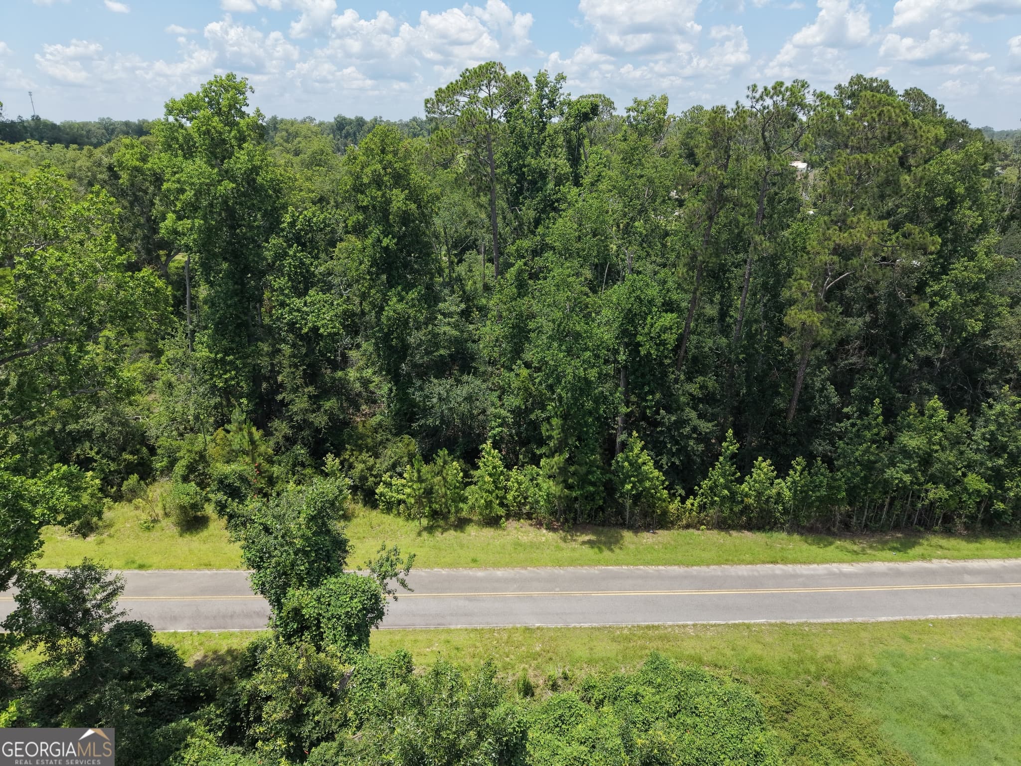 unimproved land for sale at 0 Center Avenue, Mcrae-Helena, GA 31037 — photo 4