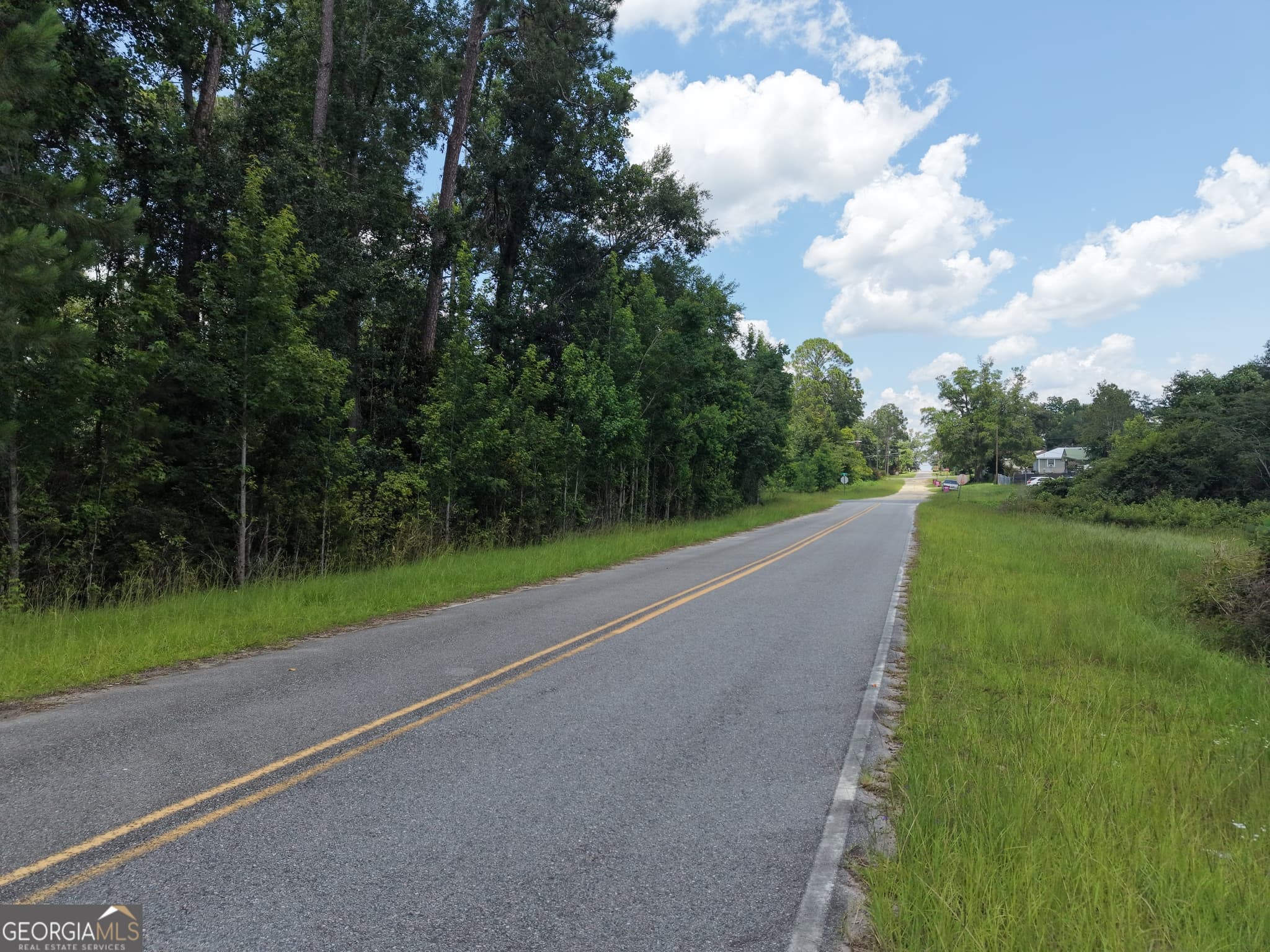 unimproved land for sale at 0 Center Avenue, Mcrae-Helena, GA 31037 — photo 8